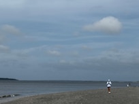 Several accessible boardwalks to search for seashells on the large beach nearby.