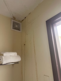 Bathroom/Shower