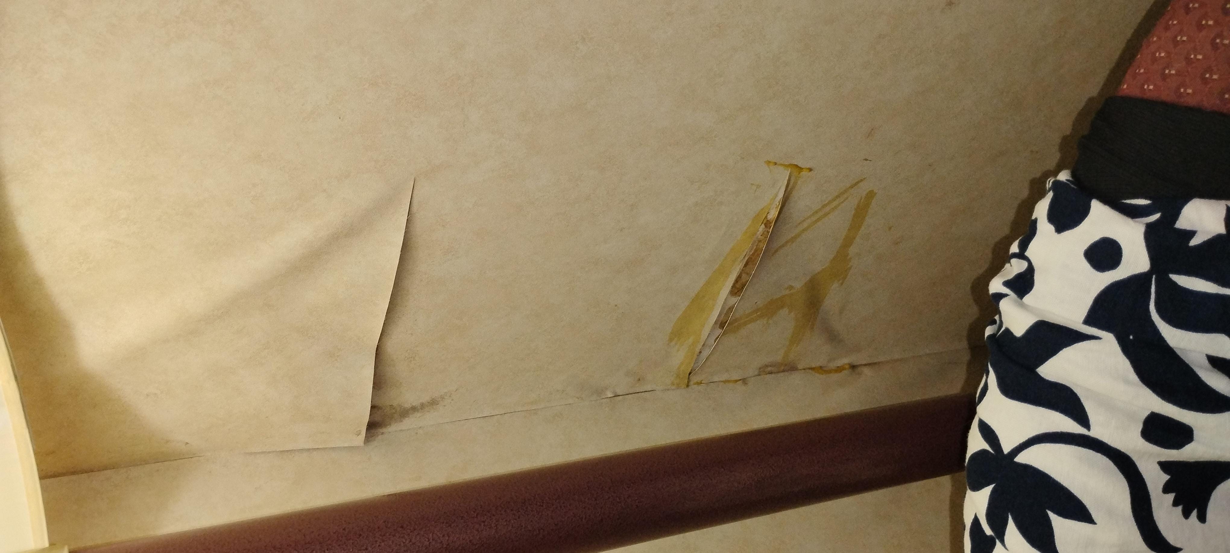 Peeling wallpaper