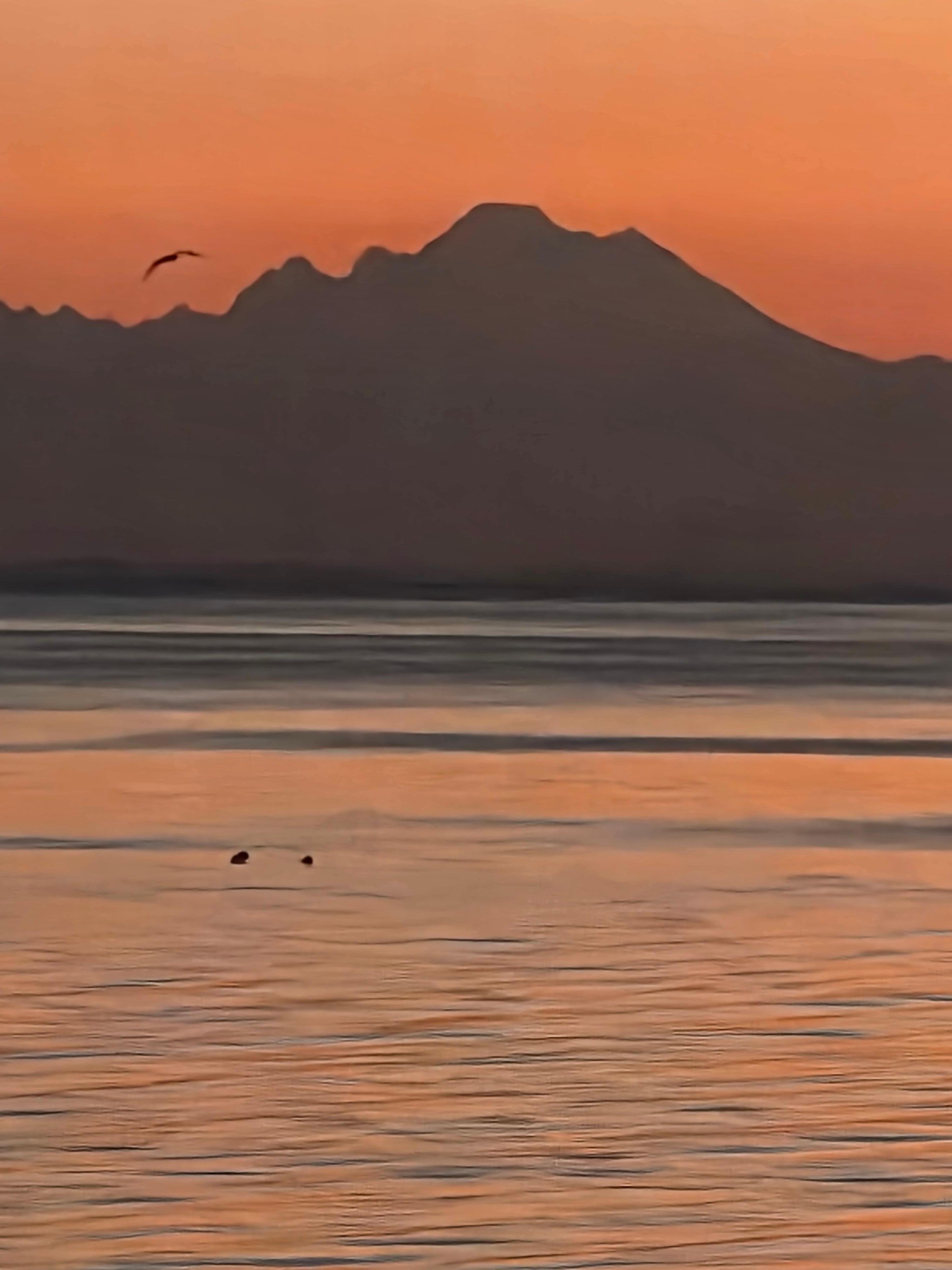 Mt Baker at sunrise.