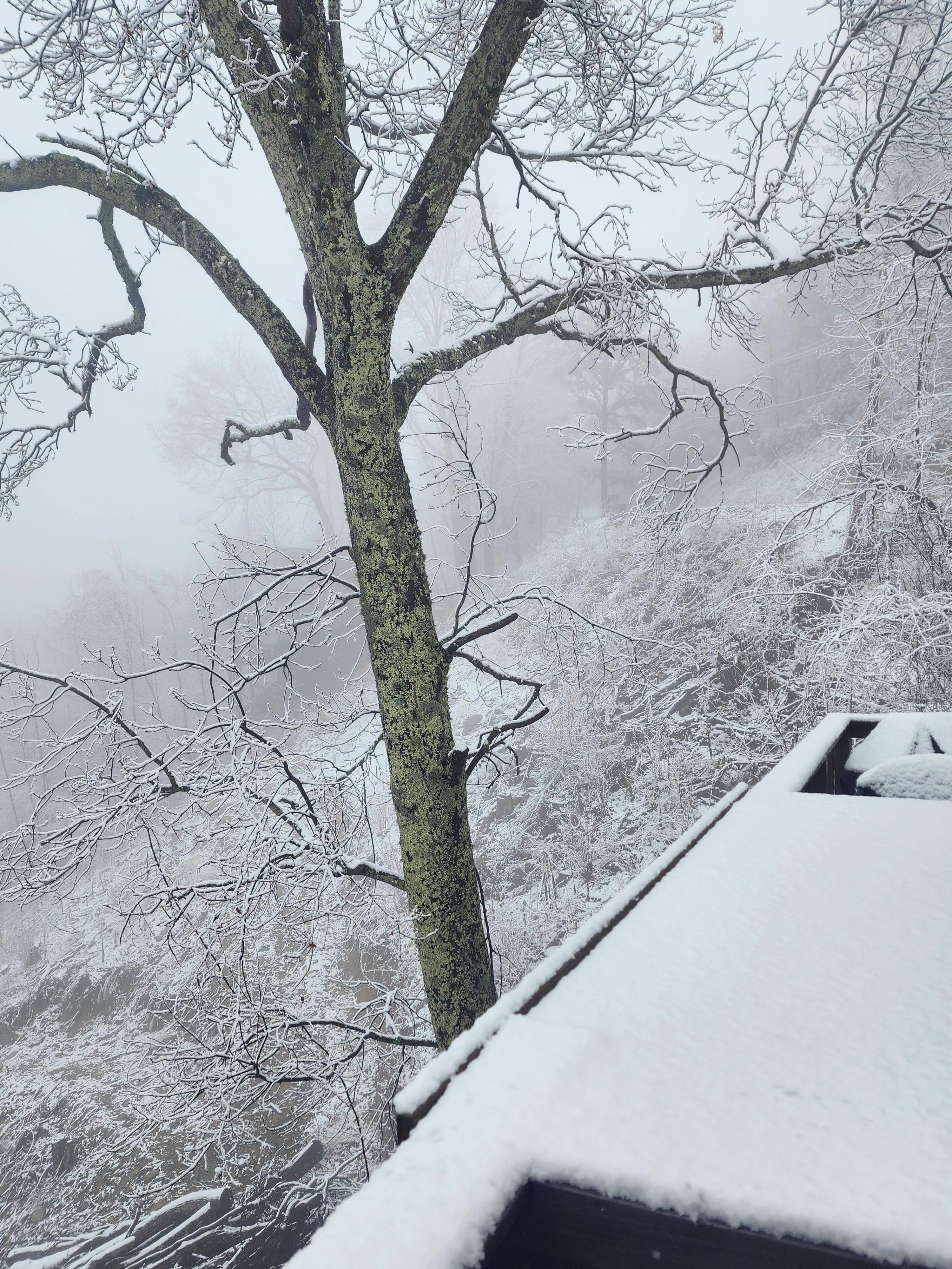 Surprise snow one morning.