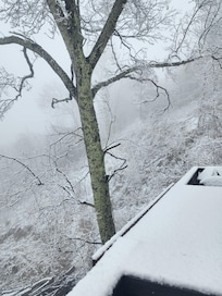 Surprise snow one morning.