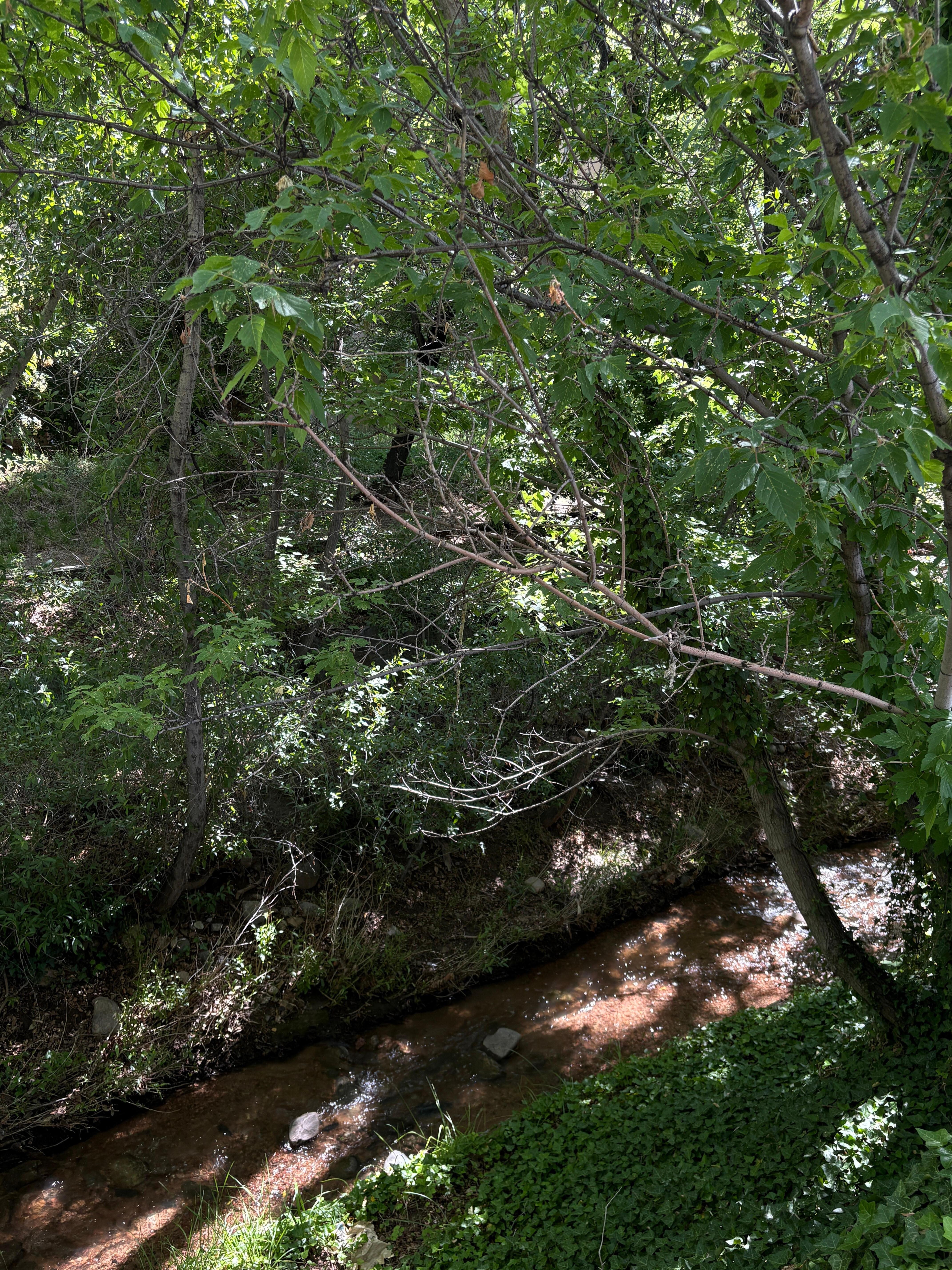 Beautiful walk along the creek across the street