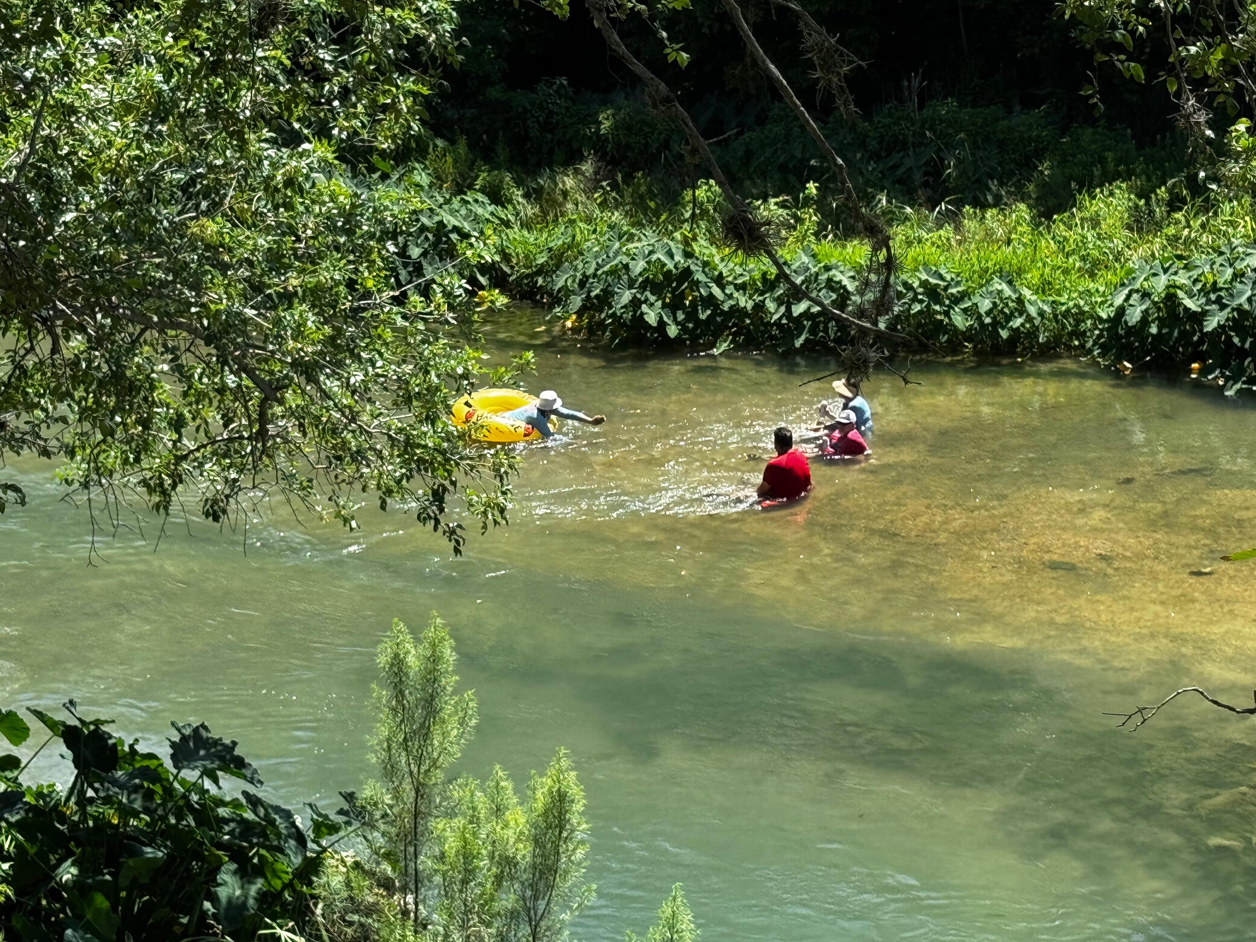  View from the deck above