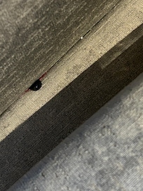 This was found behind the pillows on the lounge chair.