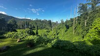 View from the front balcony.