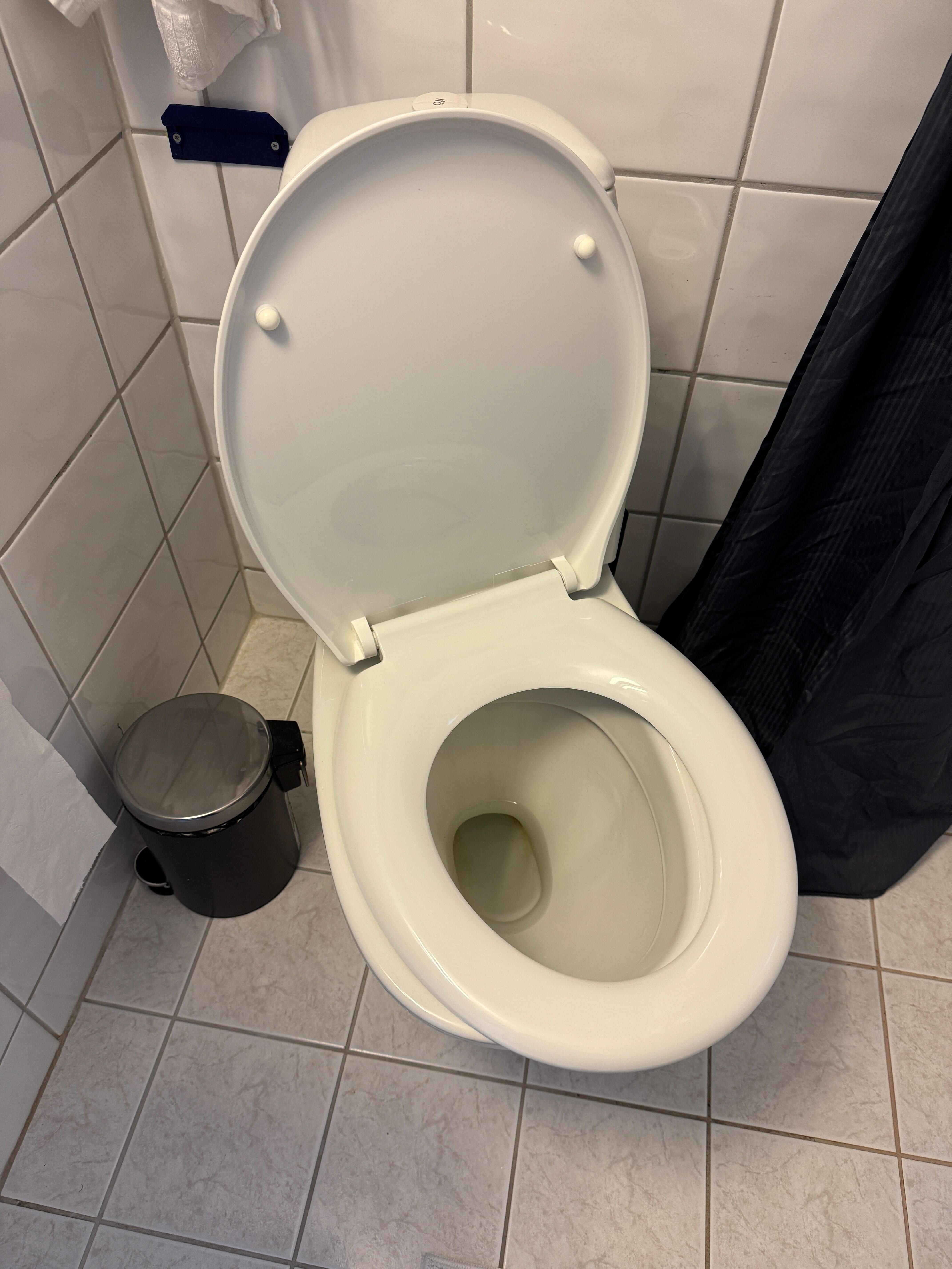 Loose toilet seat