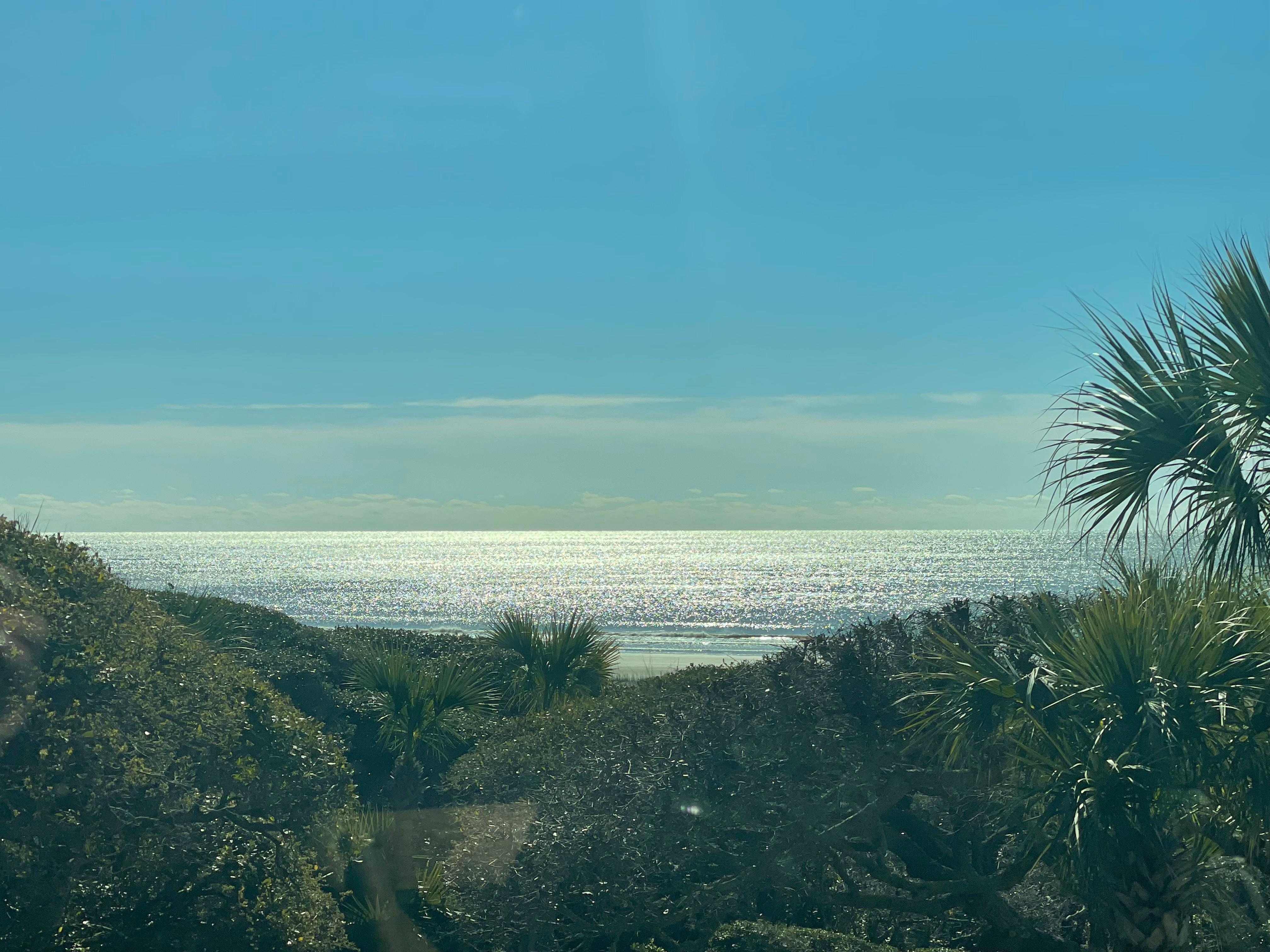 View from dining table 