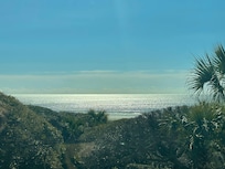 View from dining table