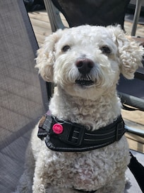 Happy deck-side family time