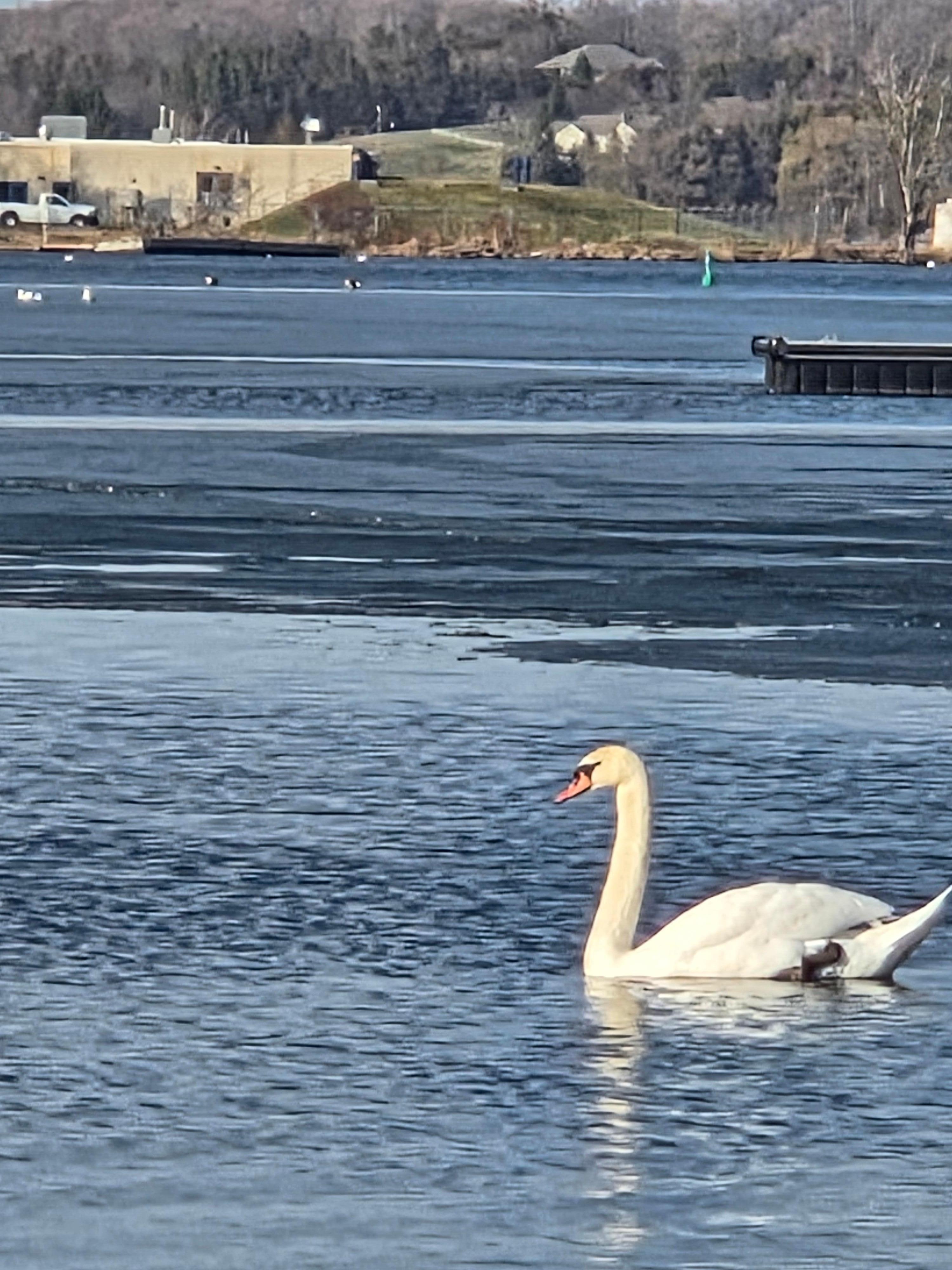 Amazing view of harbour. 