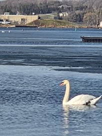 Amazing view of harbour.