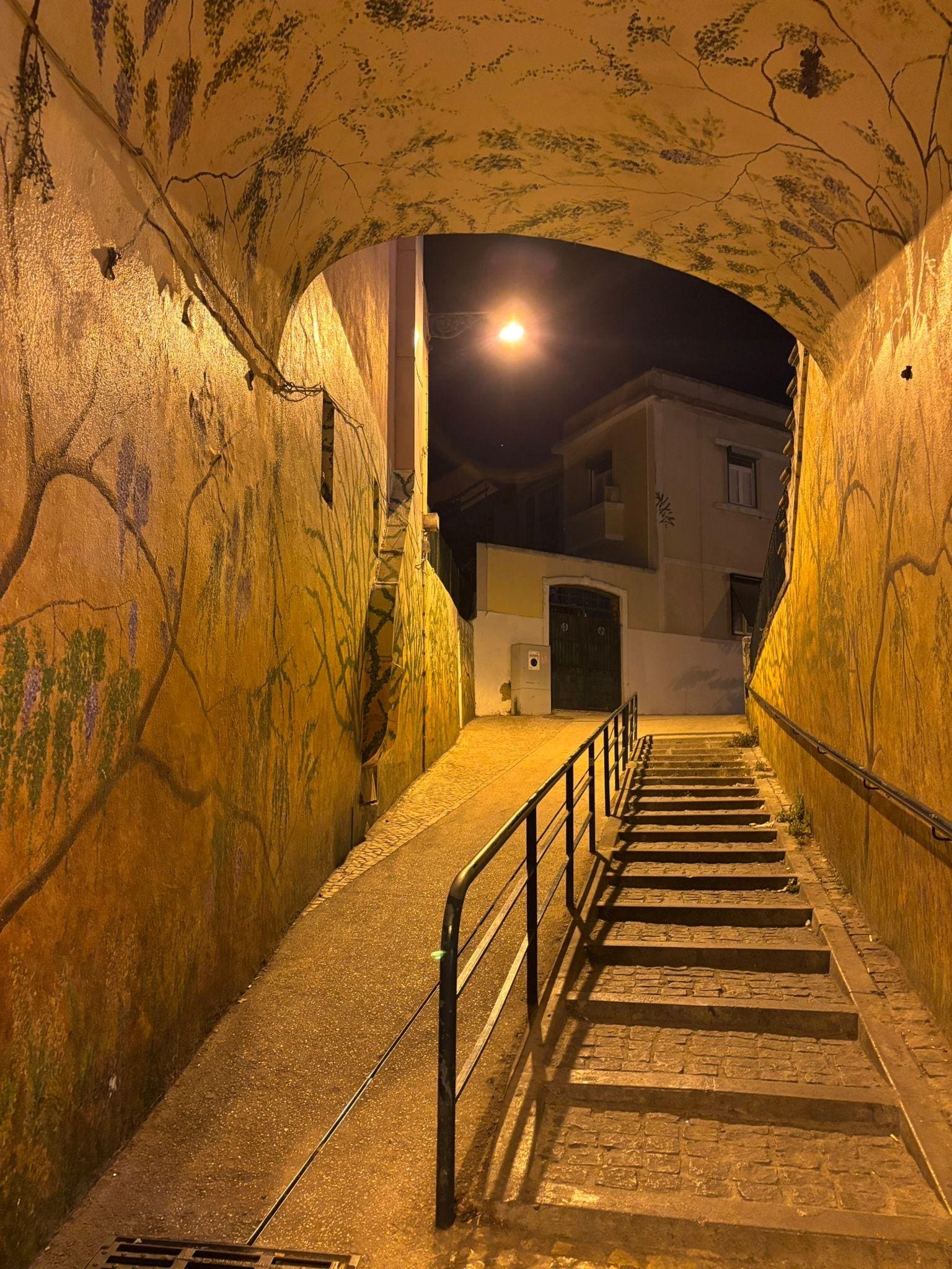 The walking right next to the apartment 