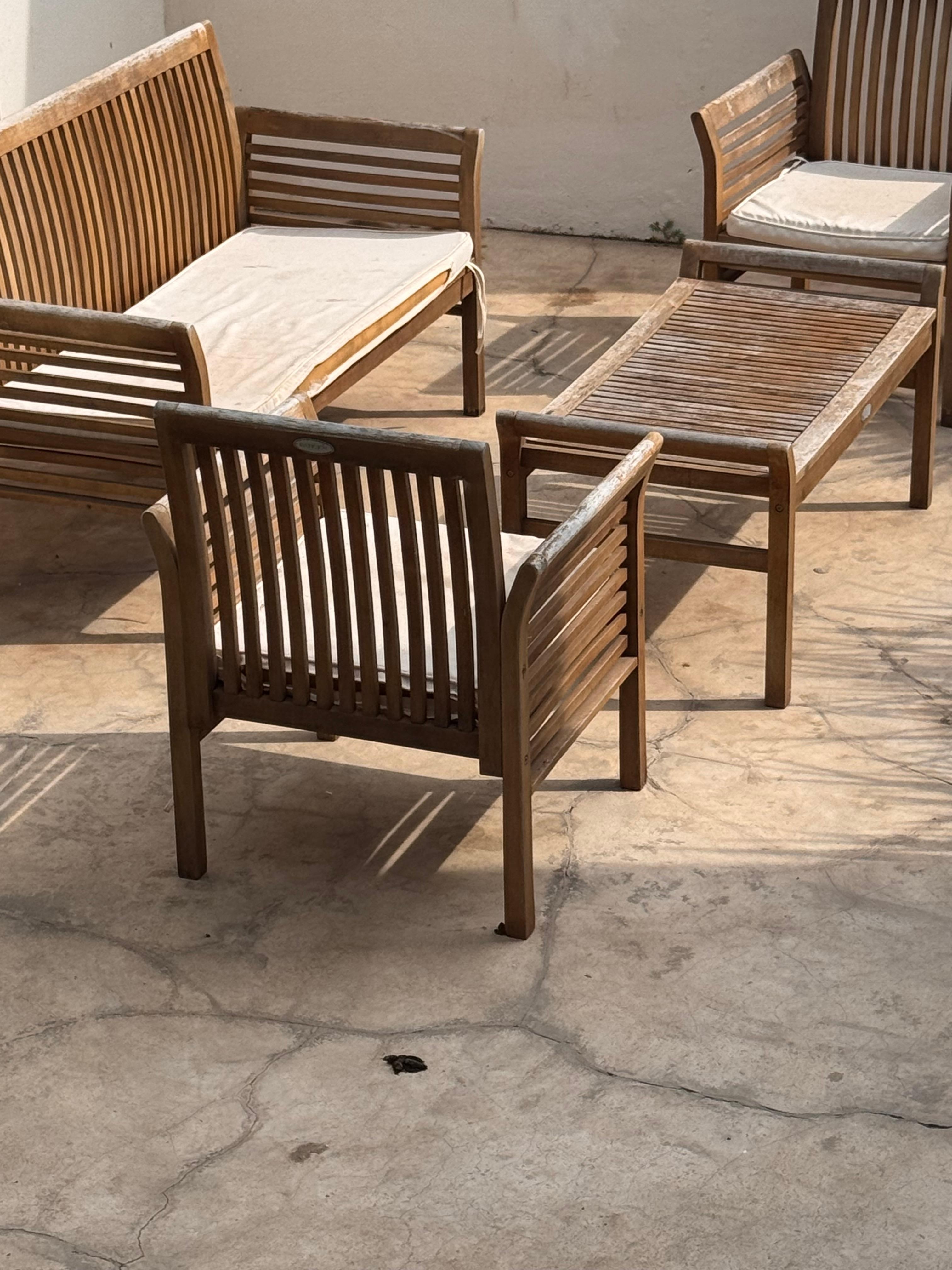 The shared common area with worn out cat hair pillows and pet droppings 