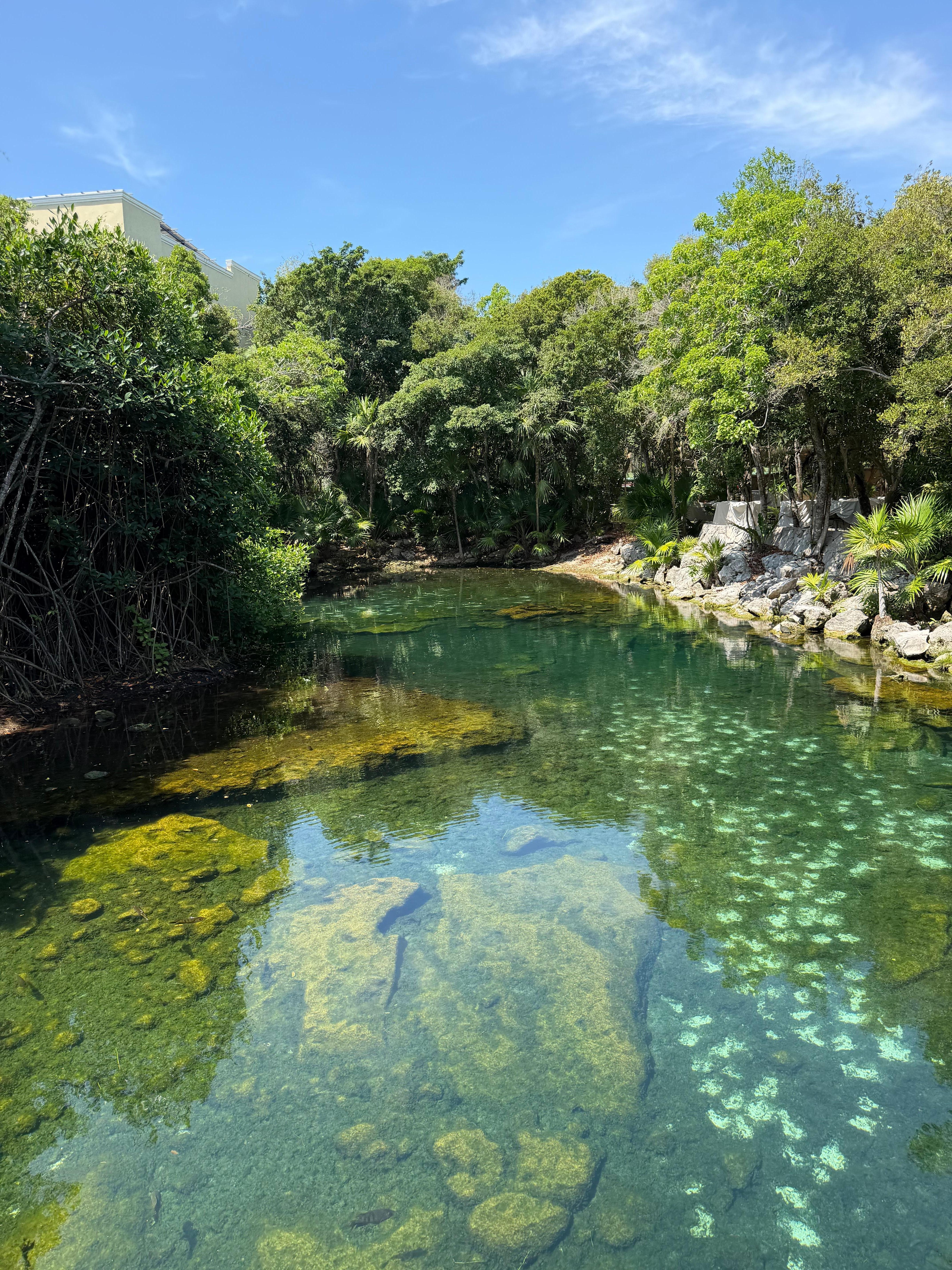 On site cenote