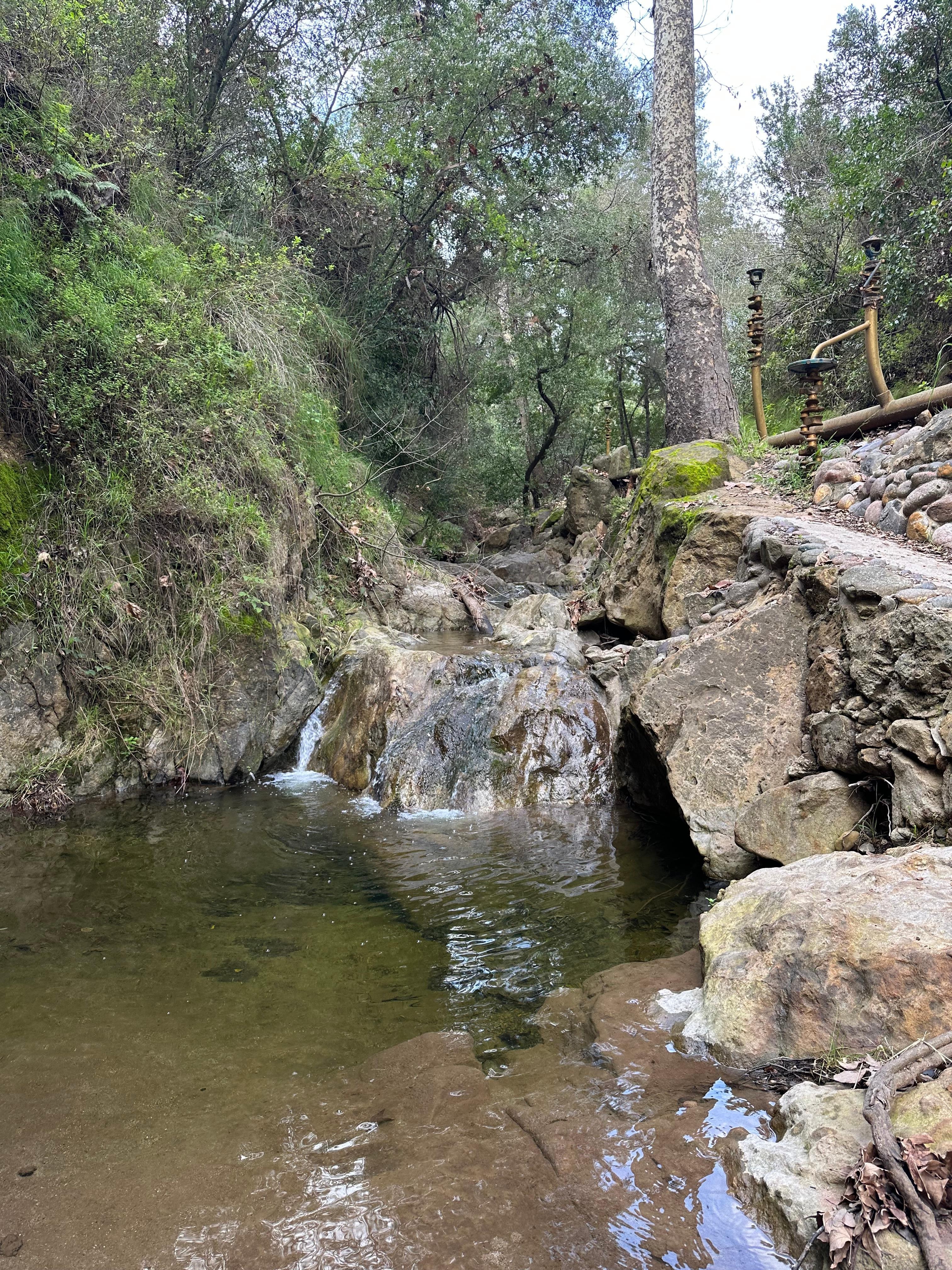 Creek pool along the driveway 