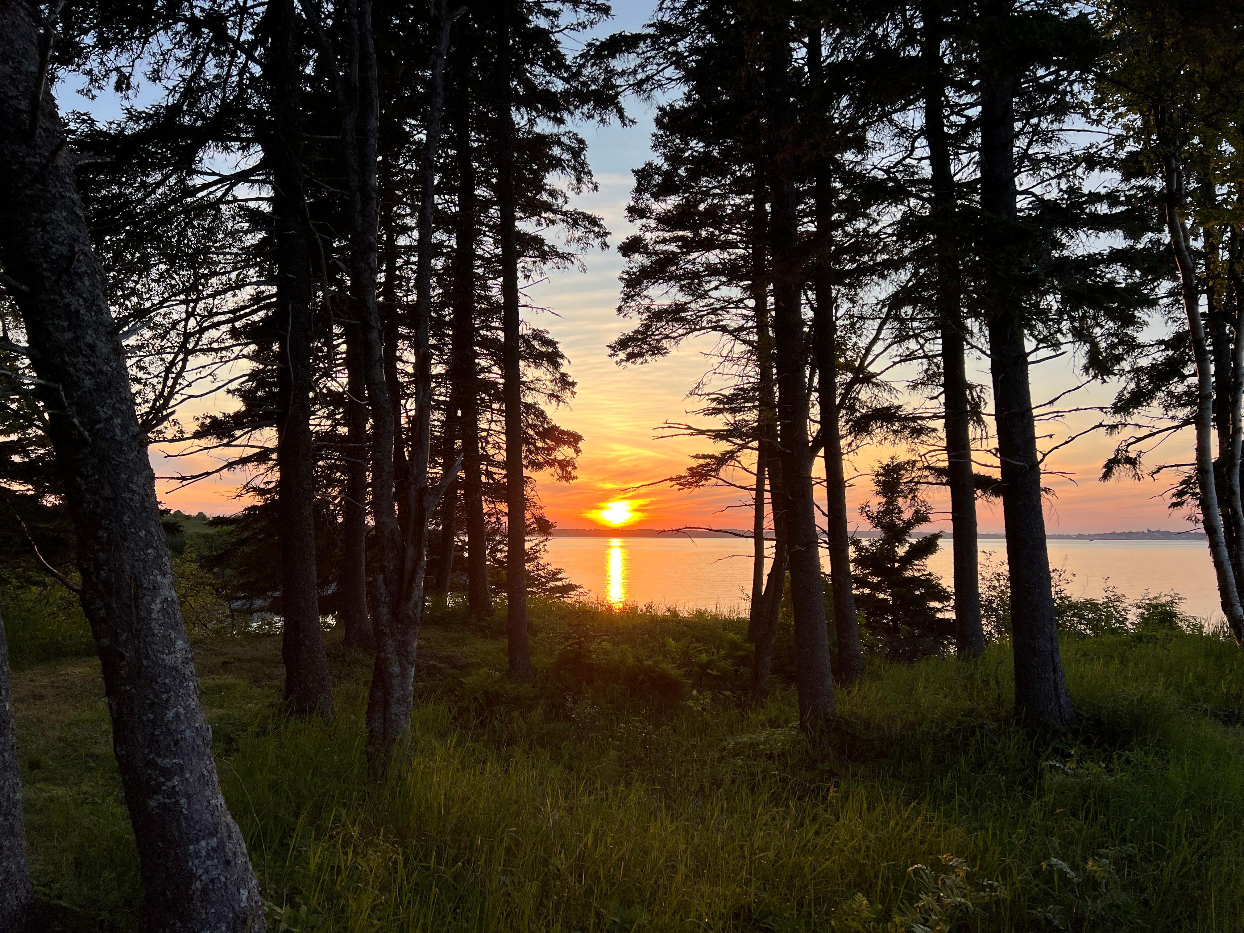 Sunset from property.