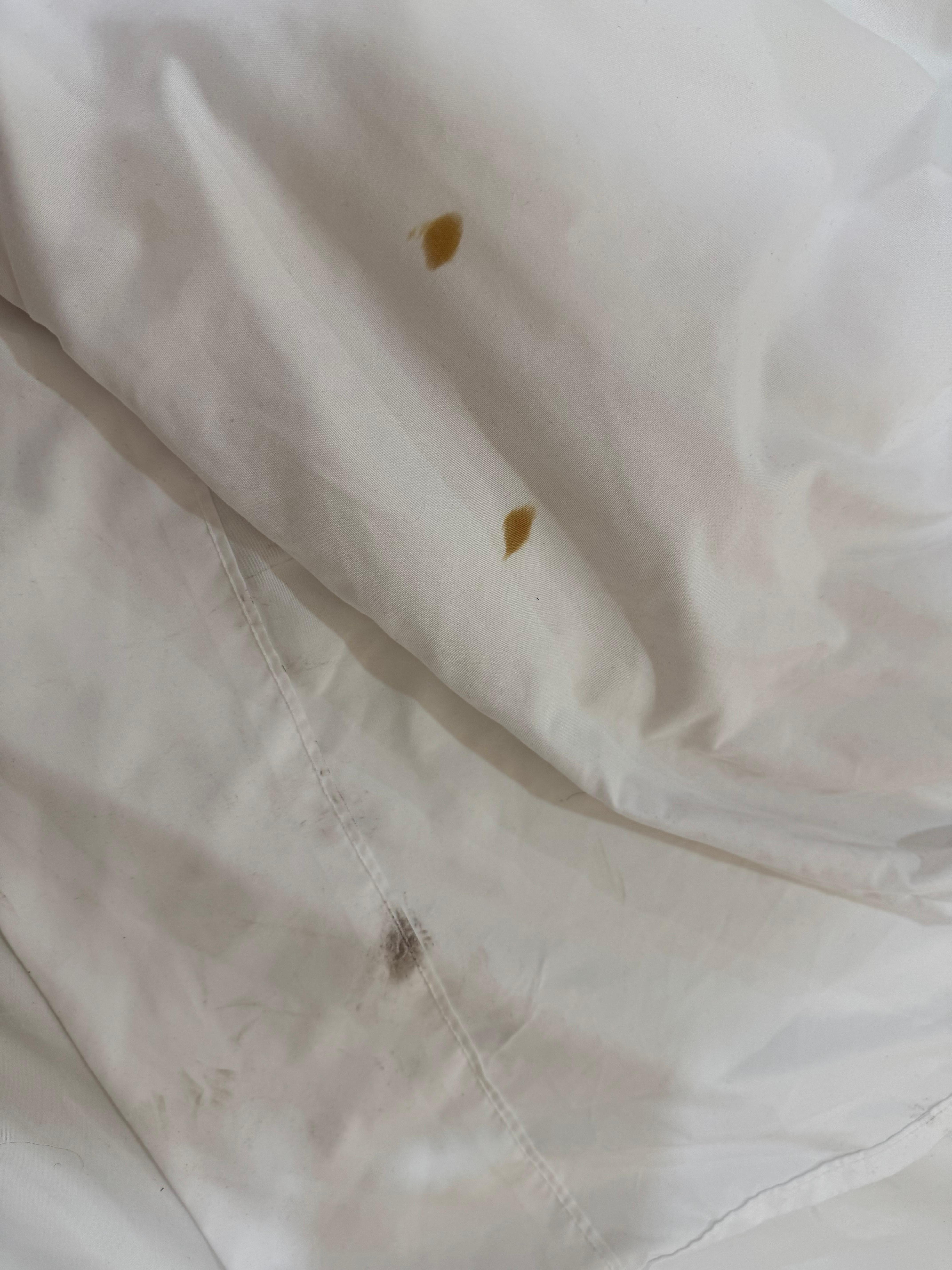 Stained bedding 