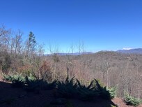 View from back porch