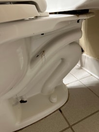 Why I rated cleanliness so low. Showed picture to staff first night. They were going to come clean but never did. Next morning we complained again and the guy did come clean it pretty quick. Bathtub could have been cleaned better