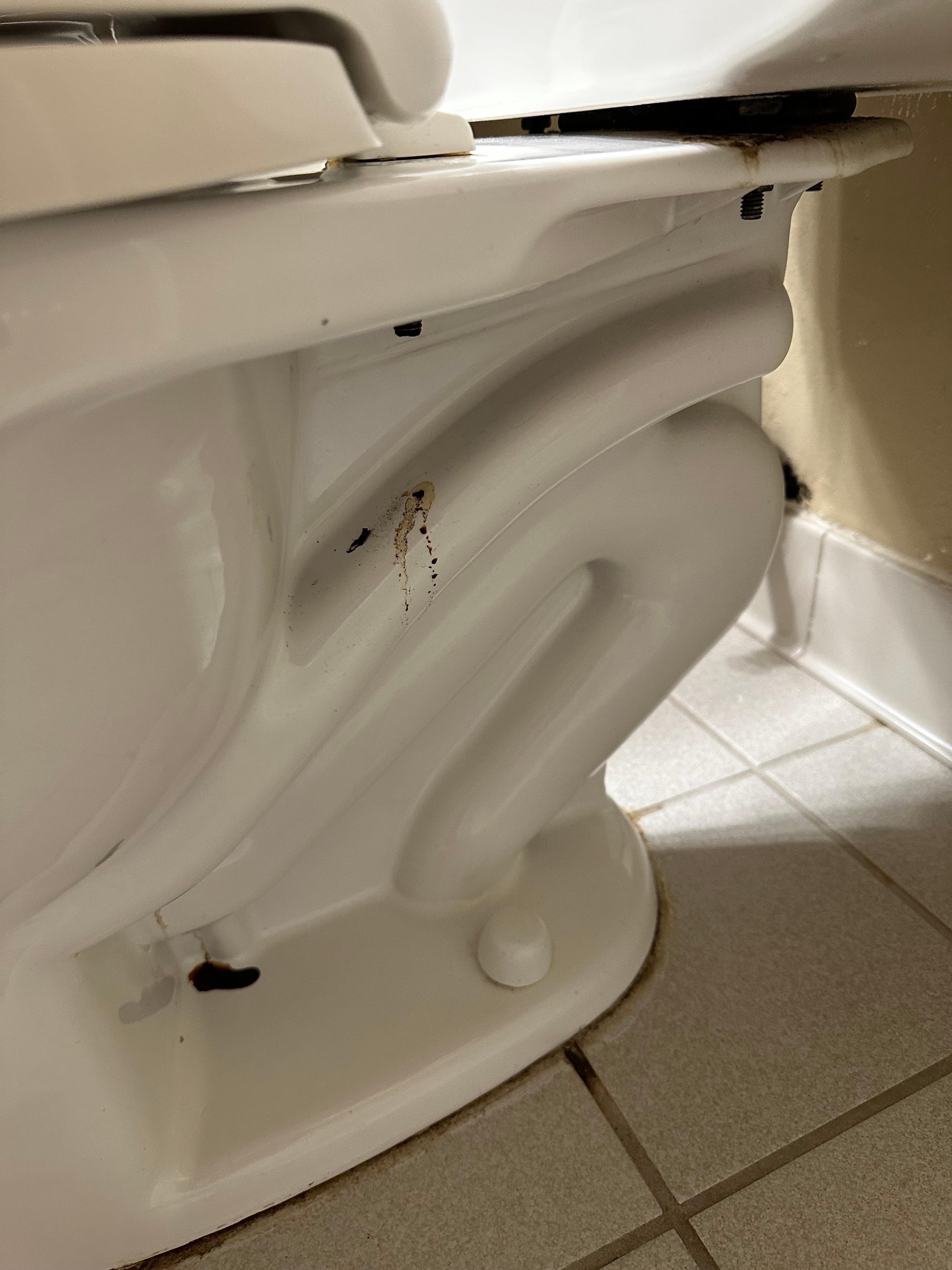 Why I rated cleanliness so low.  Showed picture to staff first night.  They were going to come clean but never did.  Next morning we complained again and the guy did come clean it pretty quick.  Bathtub could have been cleaned better