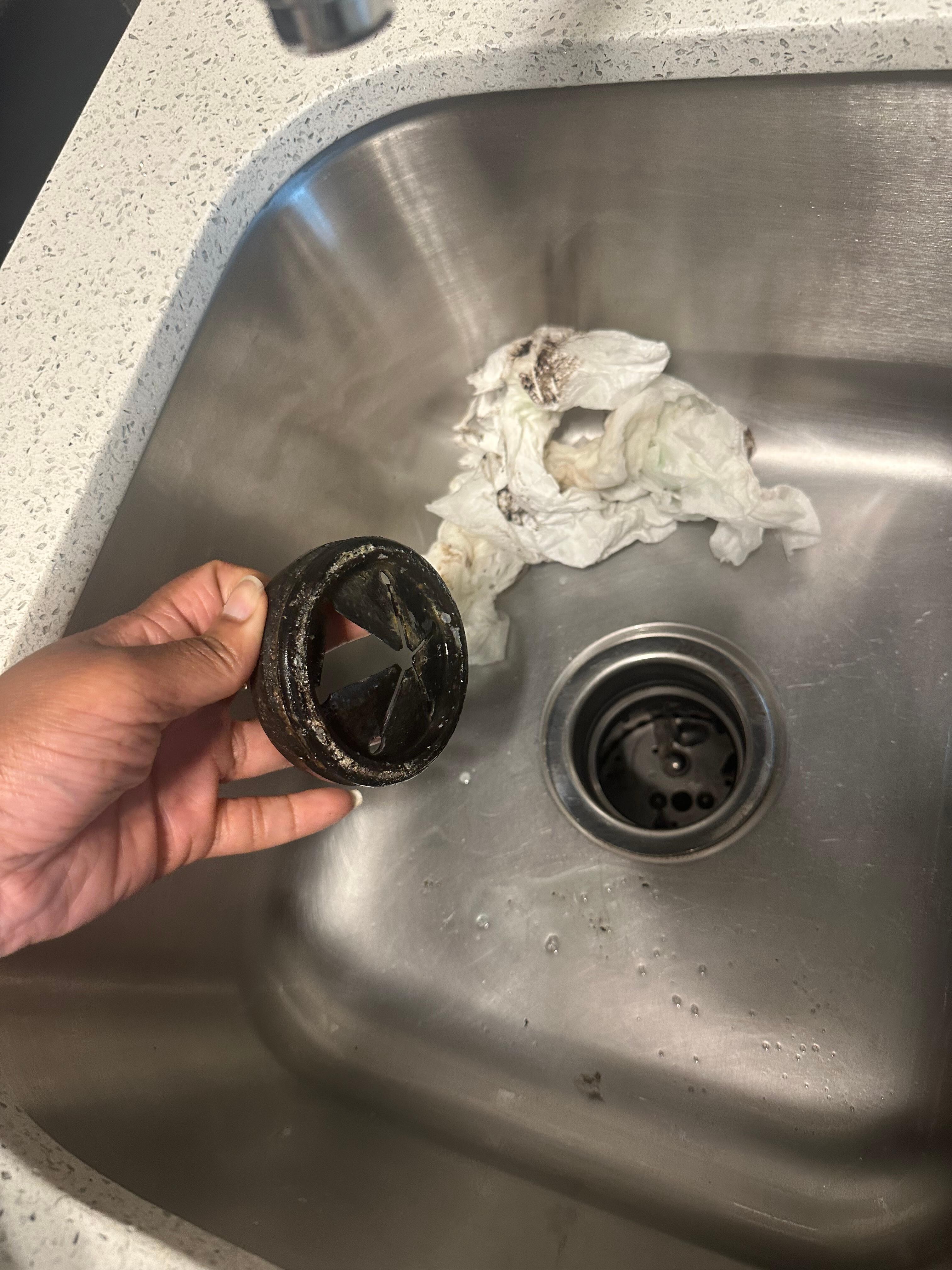 Garbage disposal mold and mildew.  