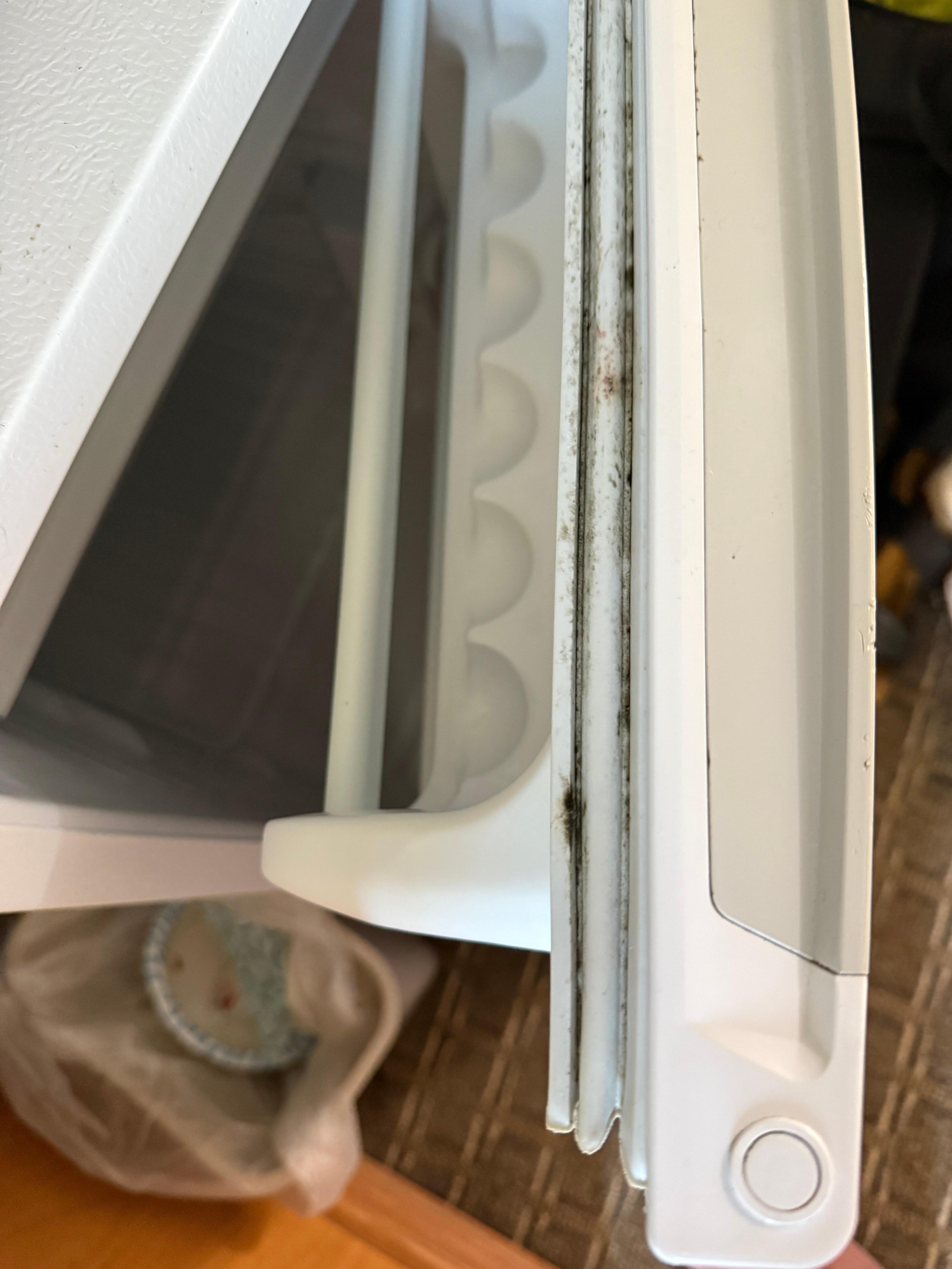 Refrigerator had mold,dirt and dust all along the gasket. 