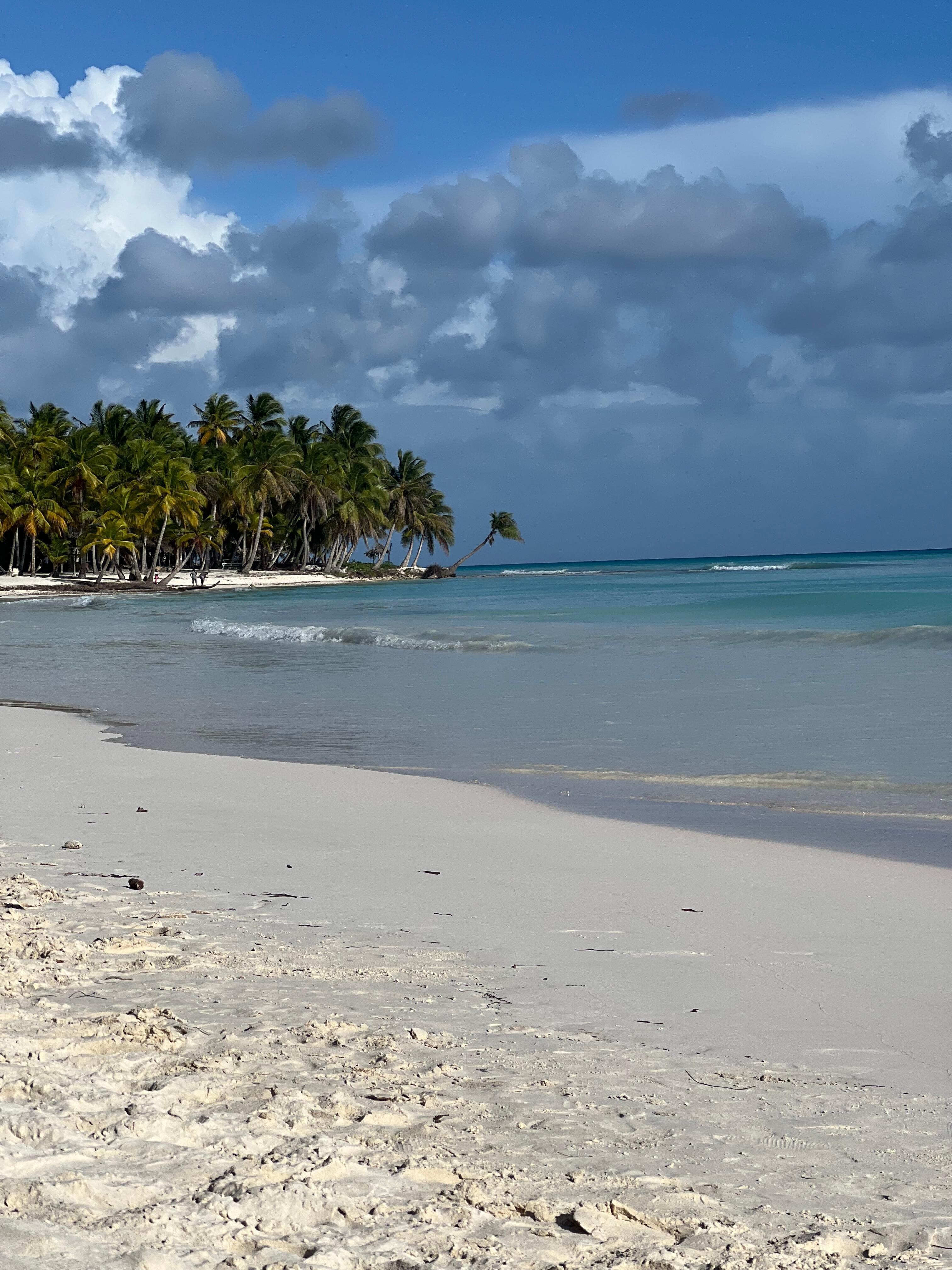 Saona Isle