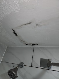 Moldy? shower ceiling repair