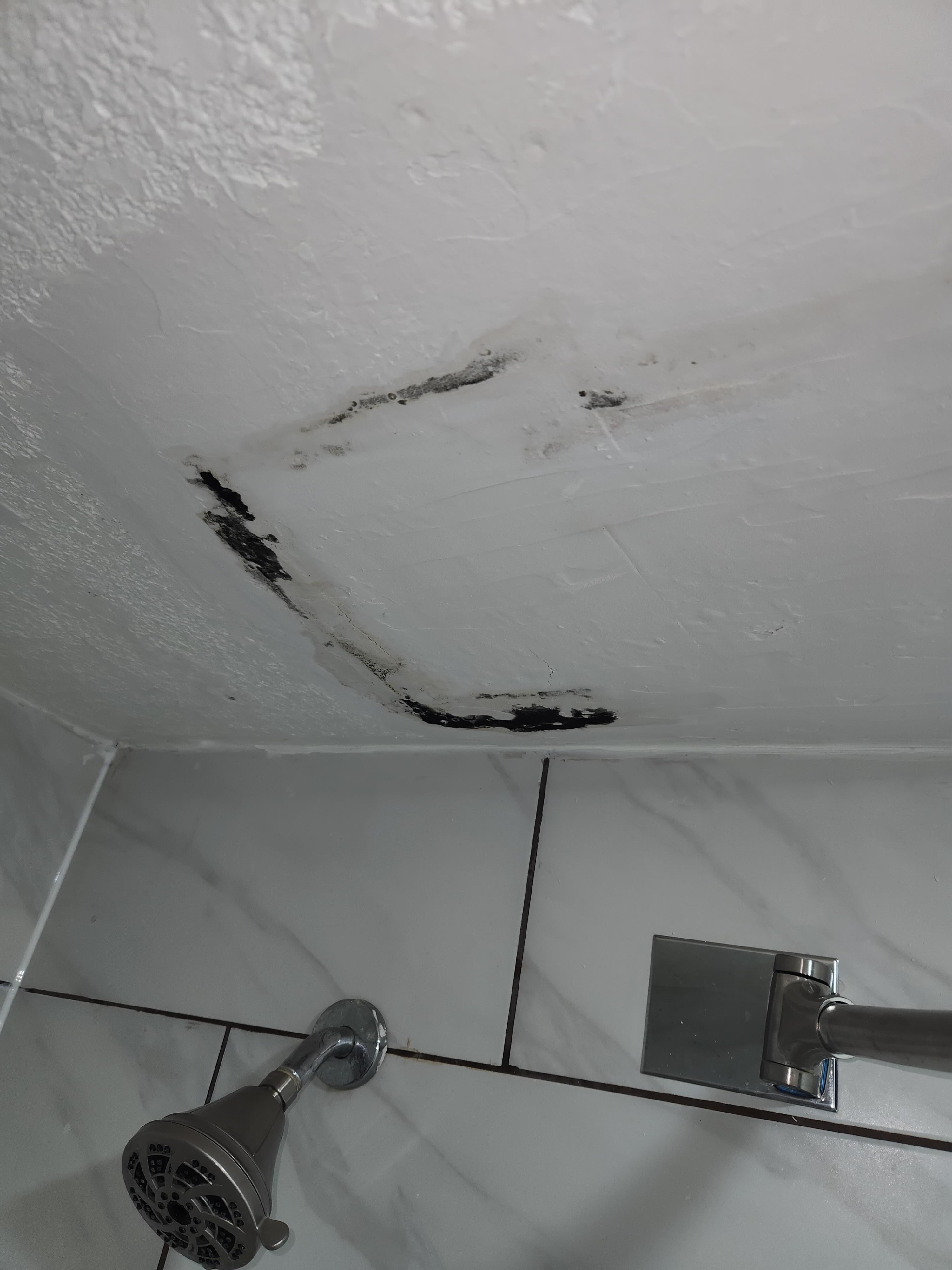 Moldy? shower ceiling repair