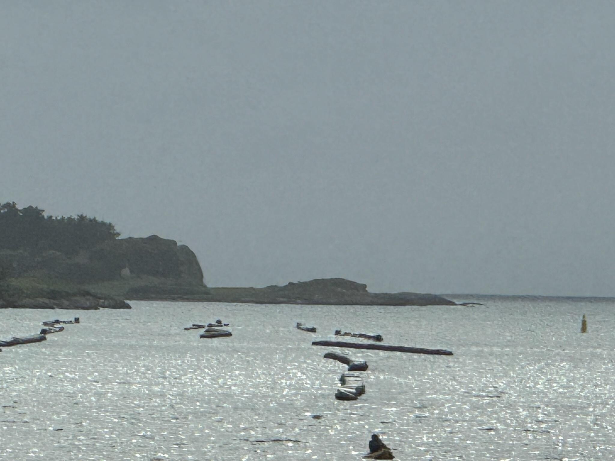 Kayaking by Bay House