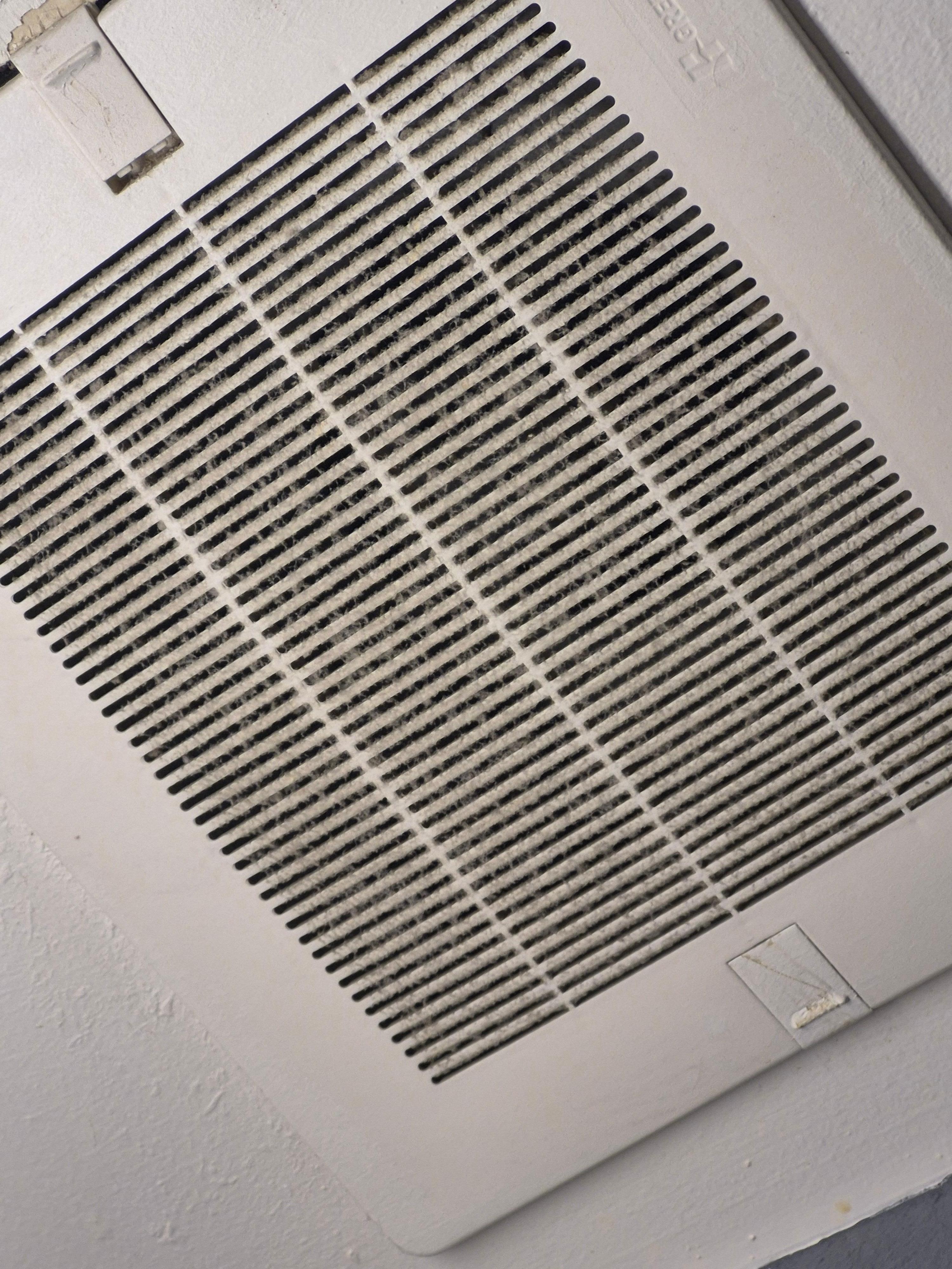 Needs to be cleaned covered in dust