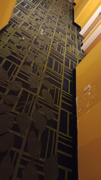 Dirty Hallway, Note the gooey stuff on the orange wall