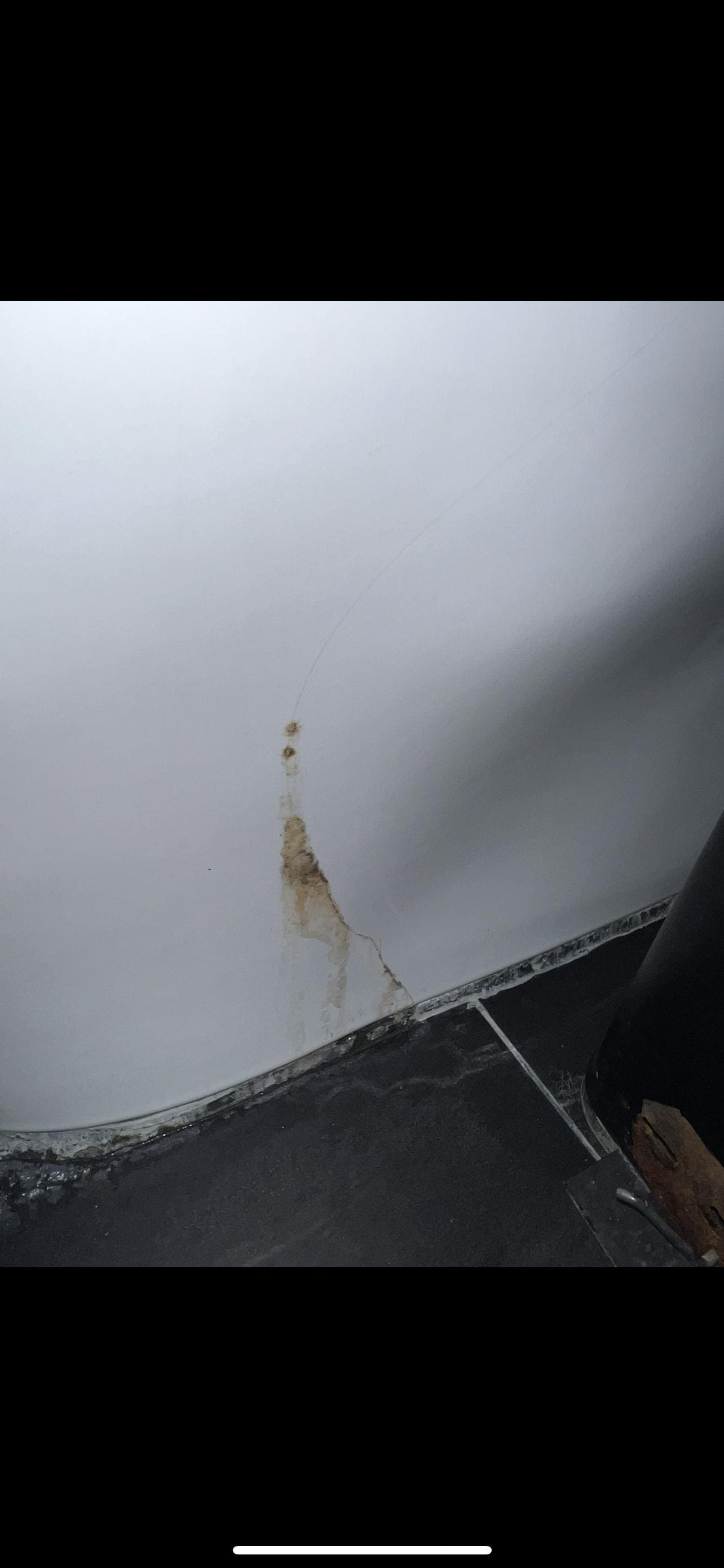 Cracked toilet and bacterial growth