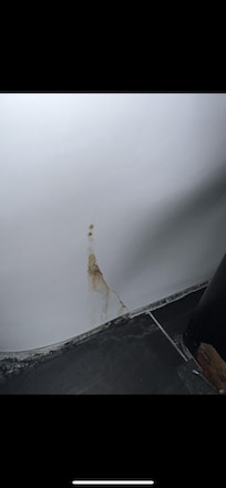 Cracked toilet and bacterial growth