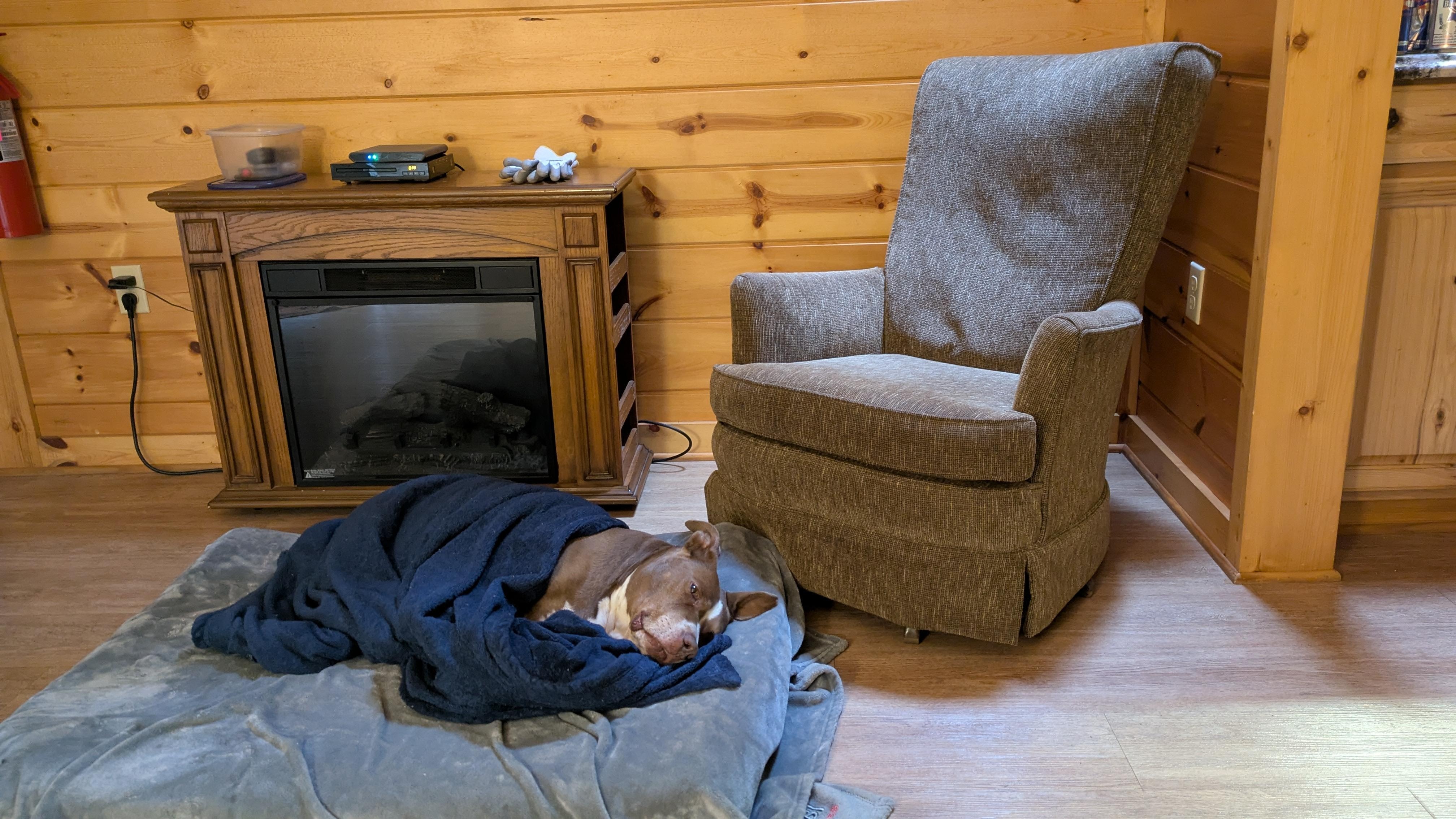Our pup really enjoyed staying here! 