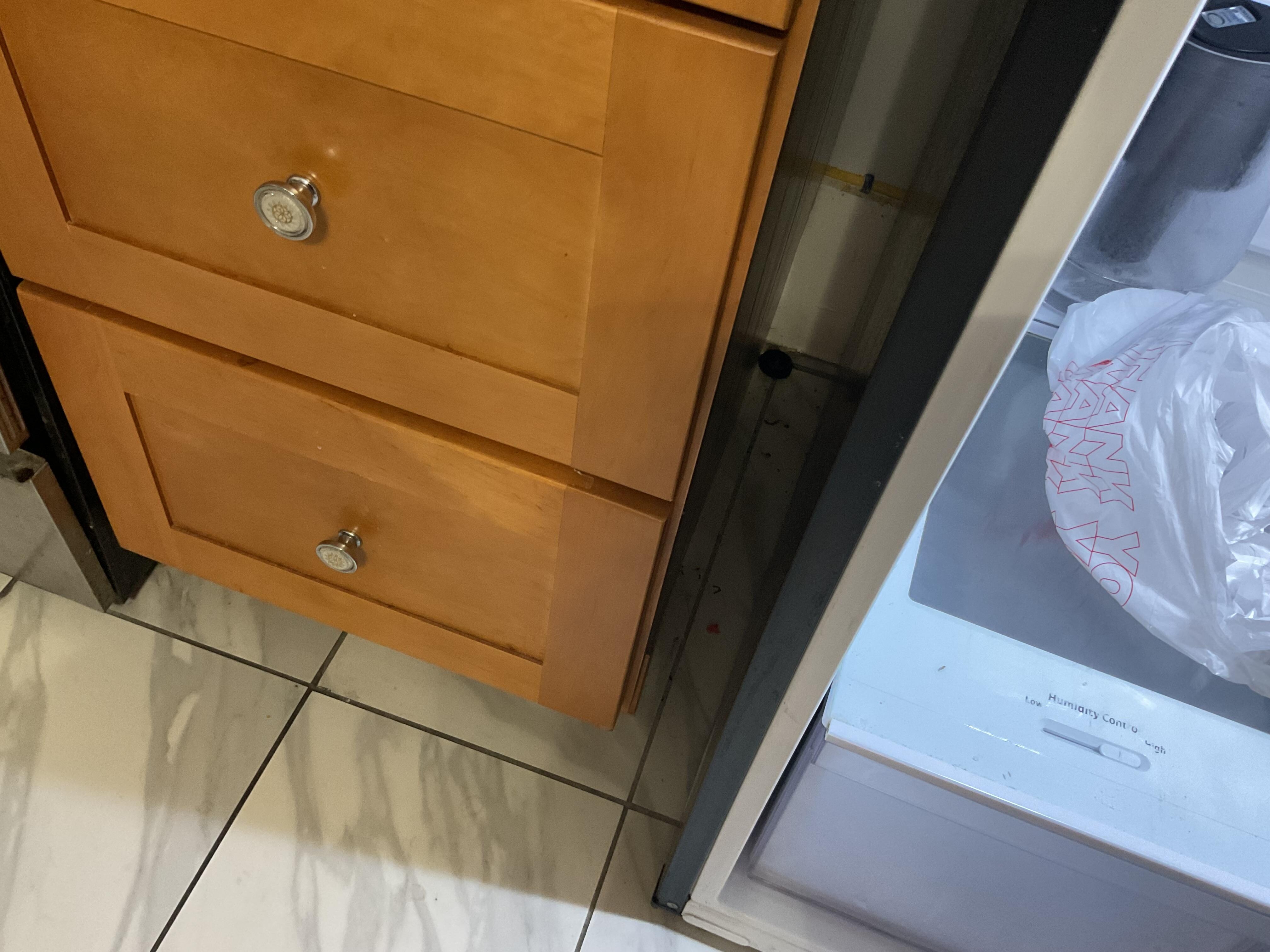 Trash in between the fridge and stove