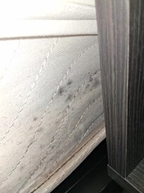 MOLD MATTRESS