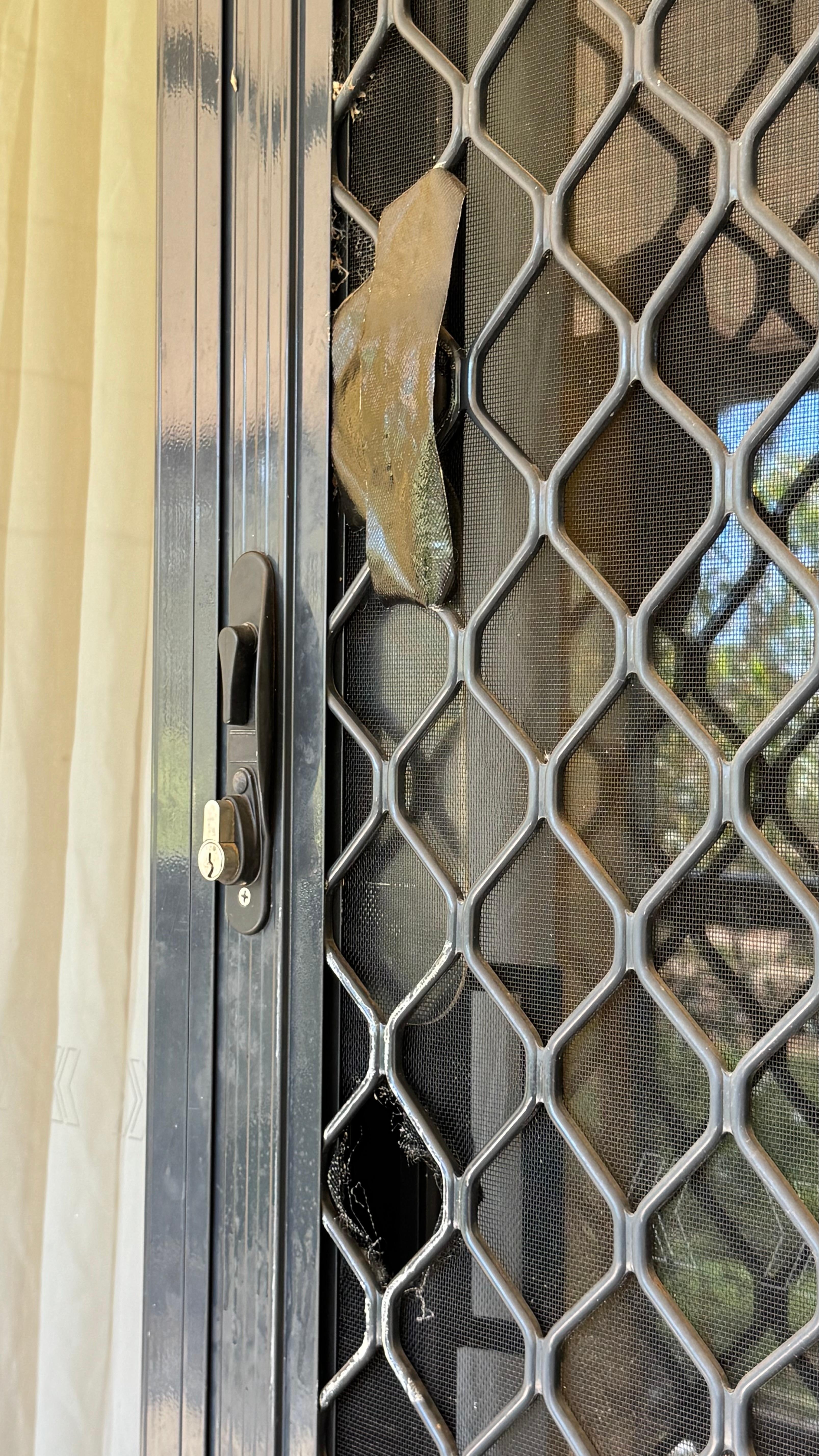 Defektes Moskitonetz 