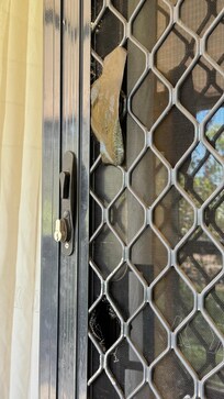 Defektes Moskitonetz