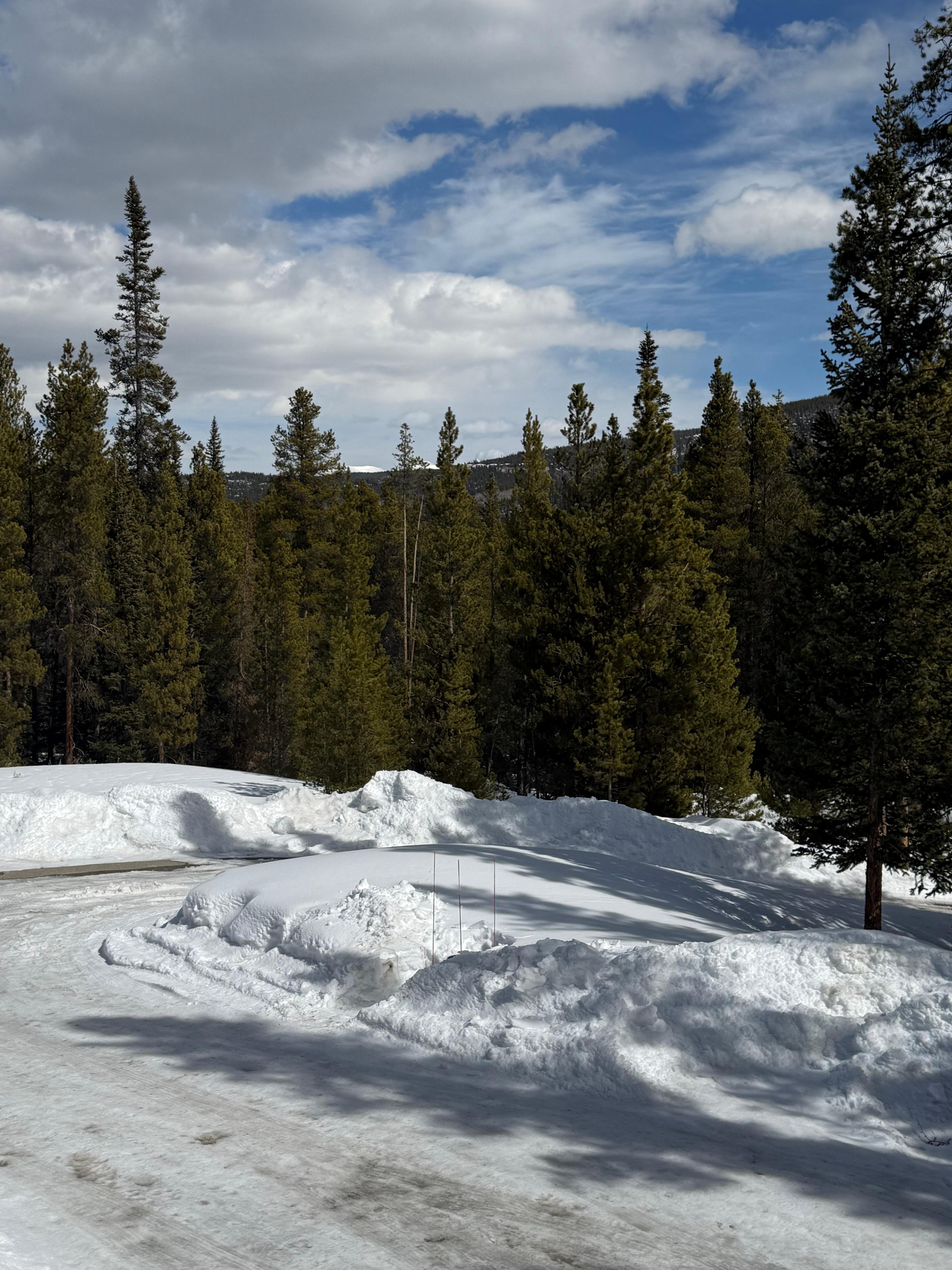 View from the kitchen
