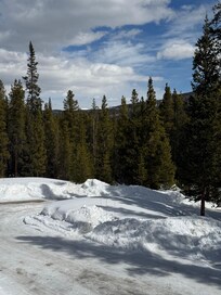 View from the kitchen