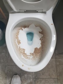 Filthy toilet