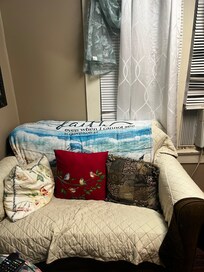 Small loveseat across from the double tv thing