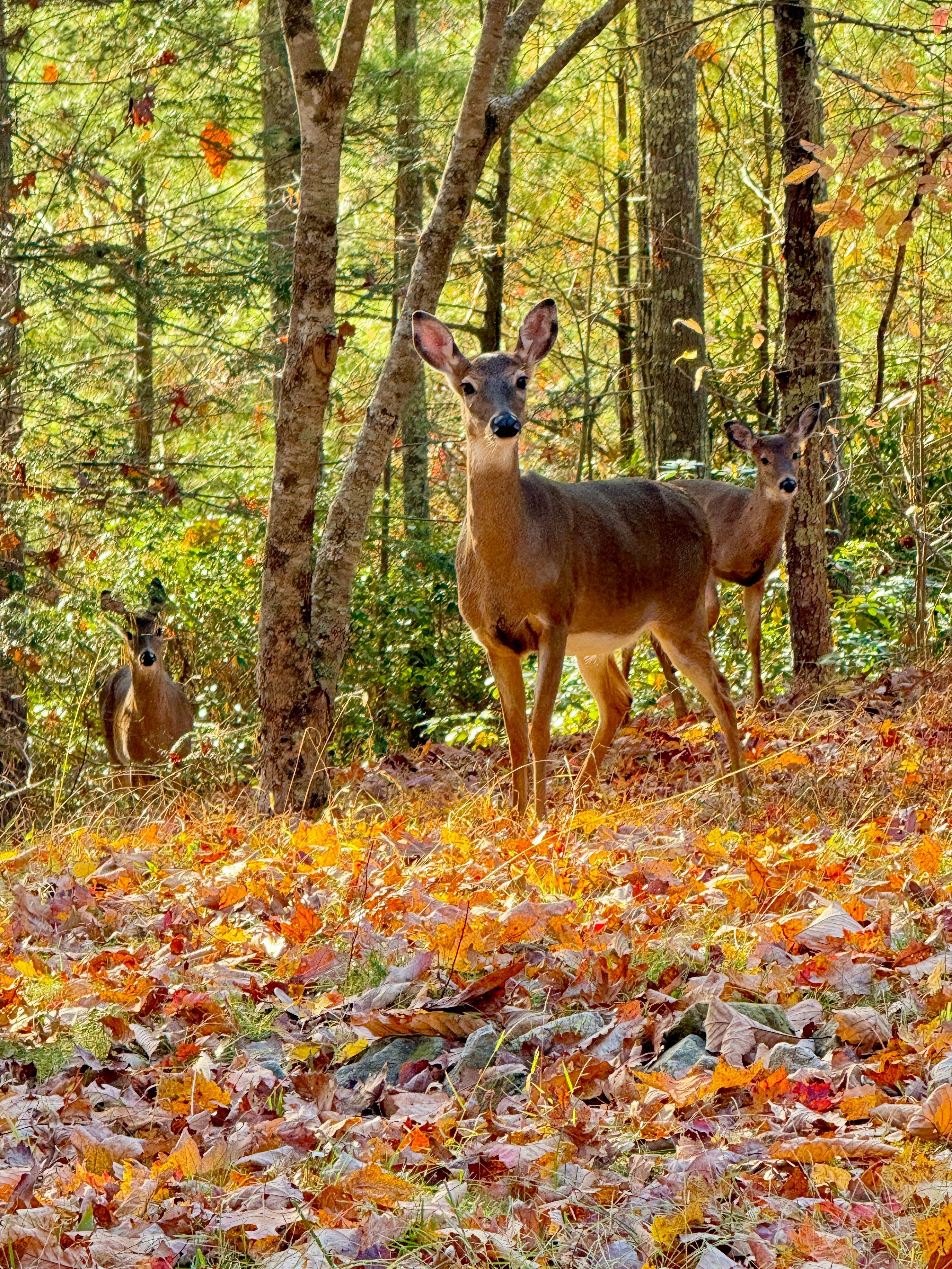 Spotted on our exploration around the community! 
