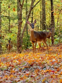 Spotted on our exploration around the community!