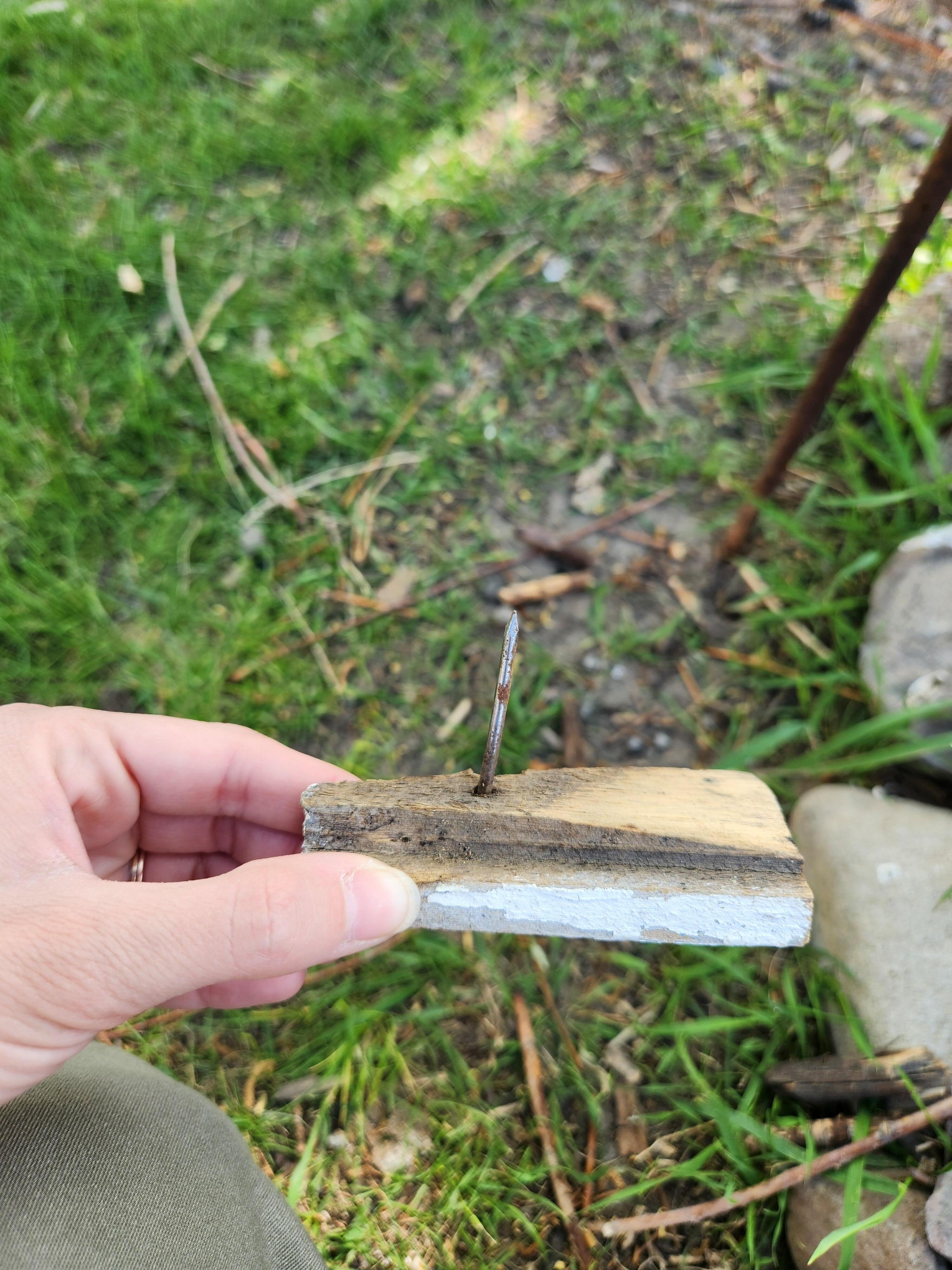 The piece of wood/nail that my husband punctured his foot on. 