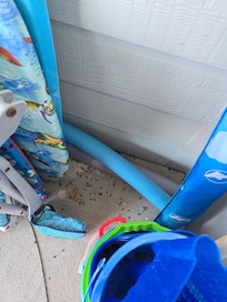 Dead Flies on beach equipment