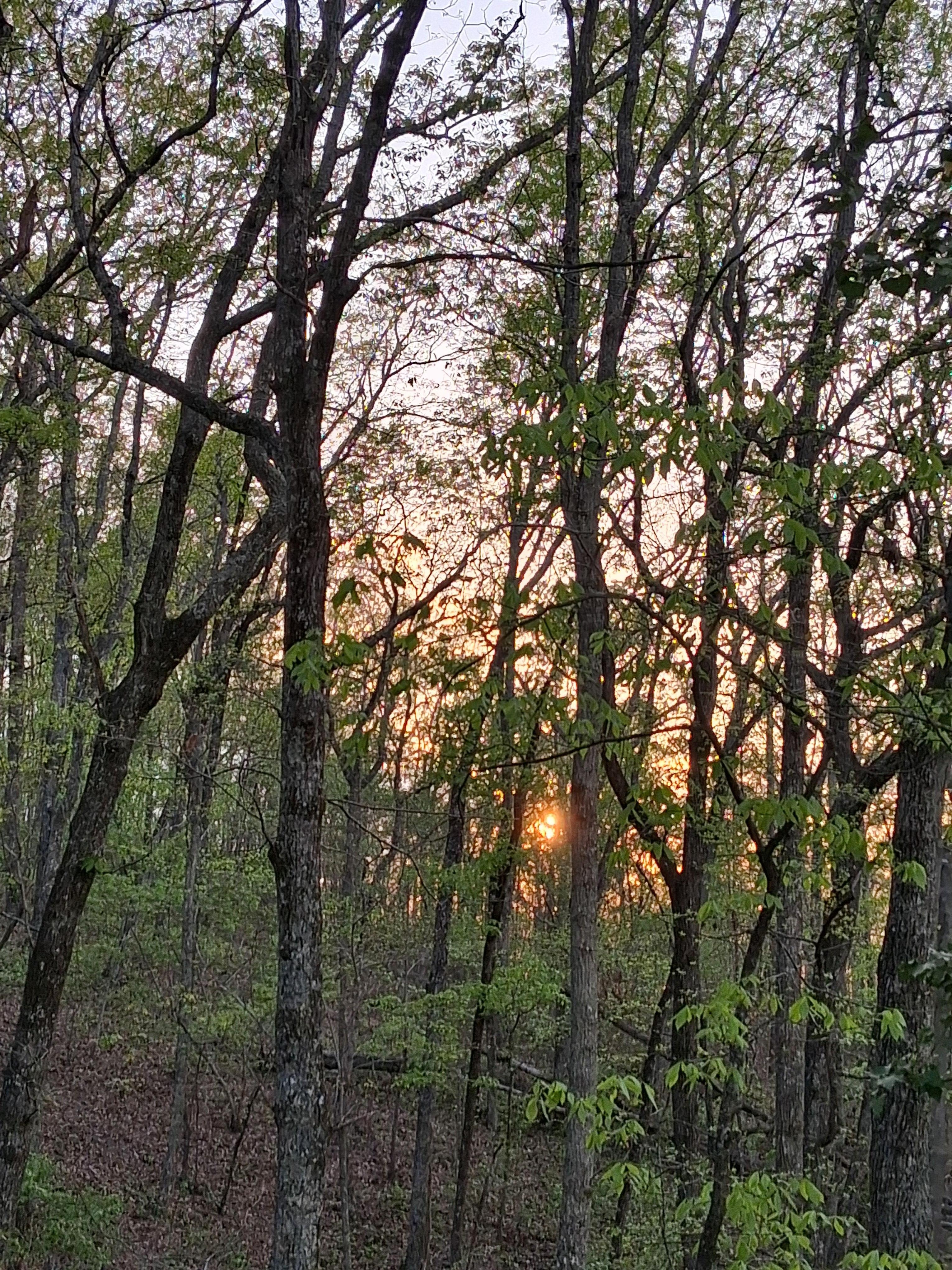 Sunset from the deck