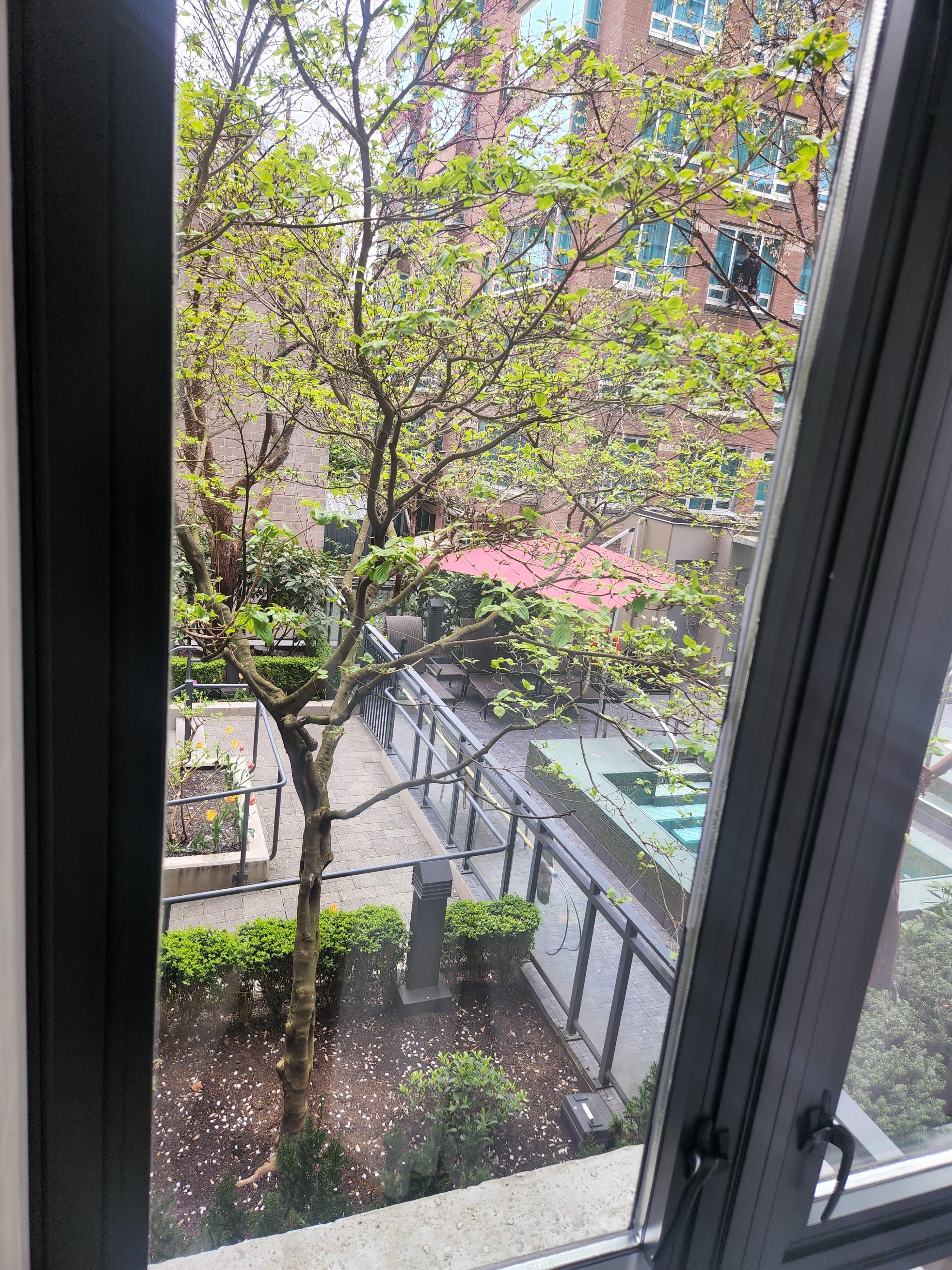 View from our room